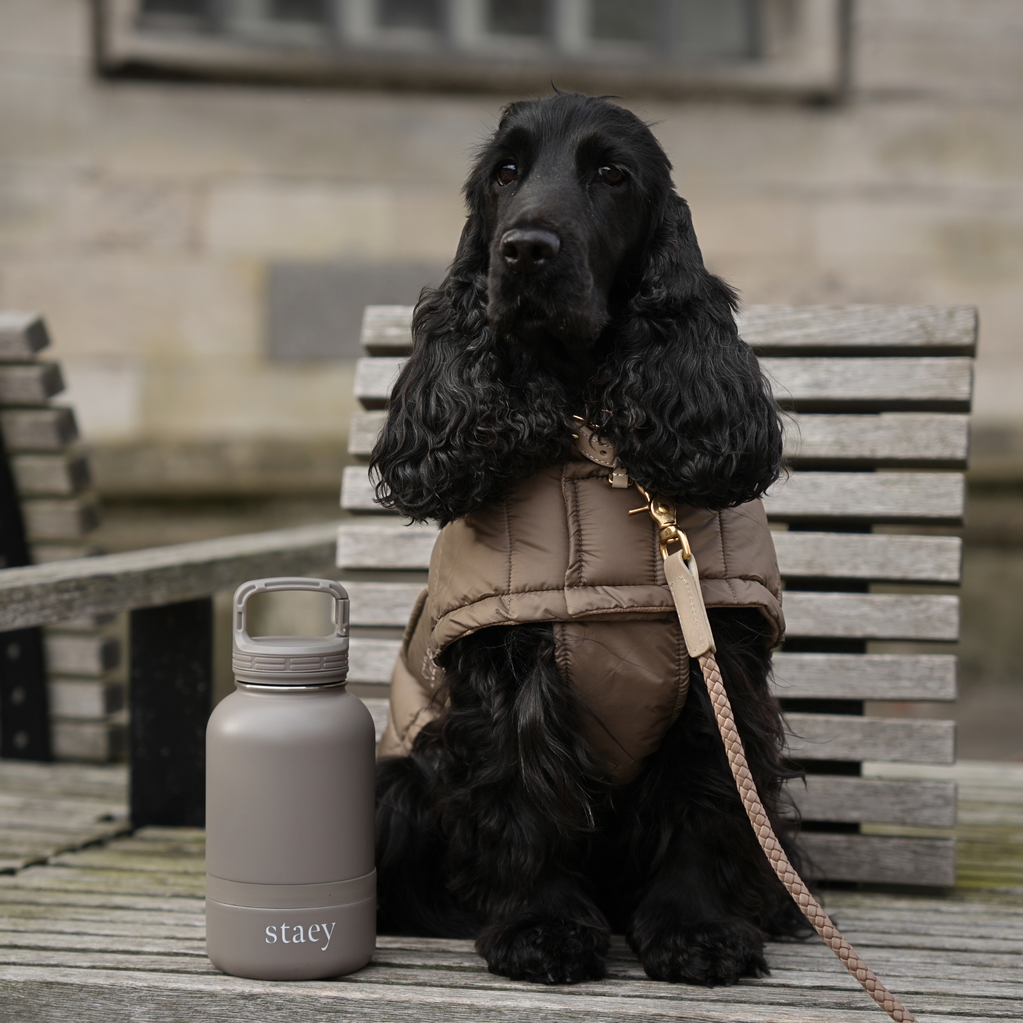 Noona 2-i-1 flaska med Skål | Rostfritt stål