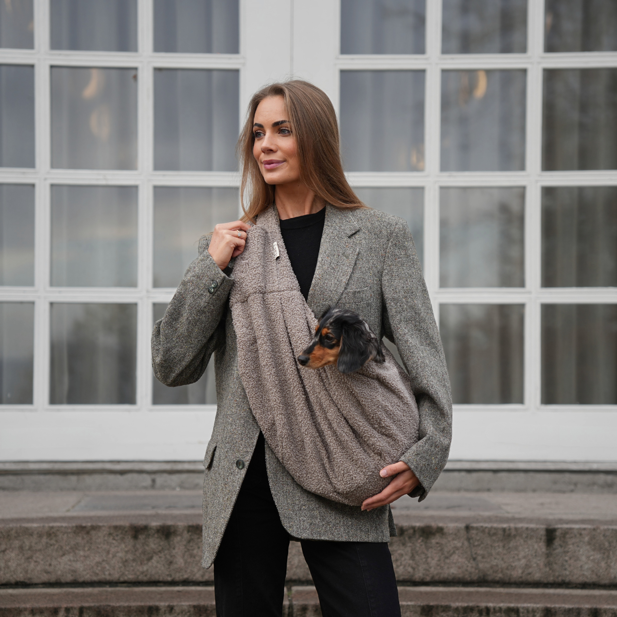 Ava Puppy Carrier | Teddy