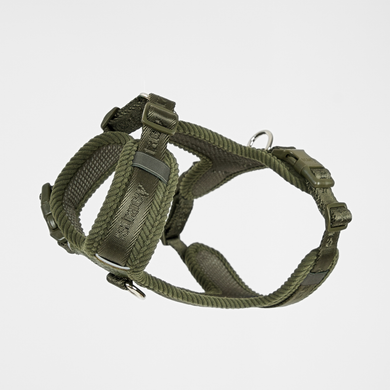 Numa hundsele | Moss green