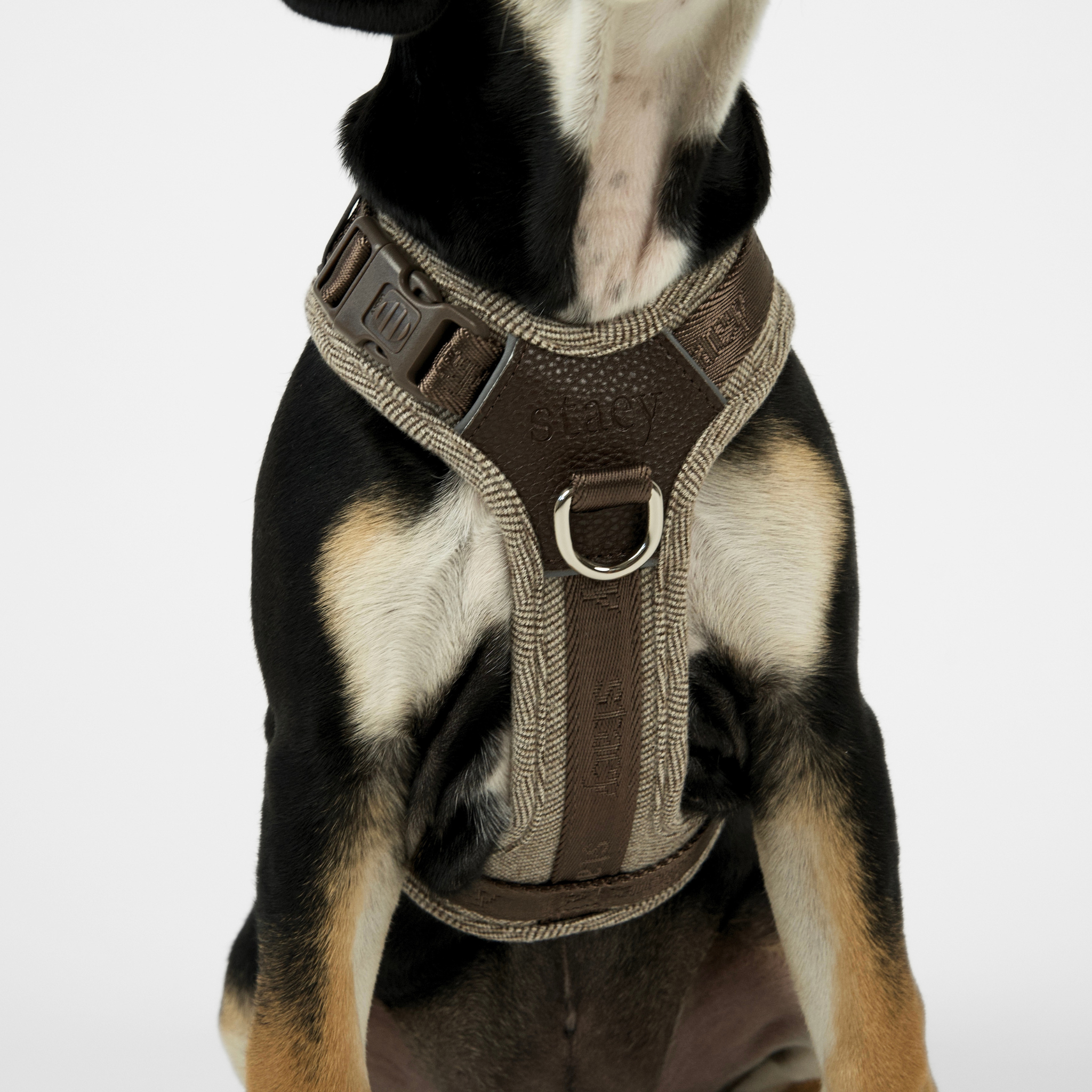 Numa Hundsele | Mocca