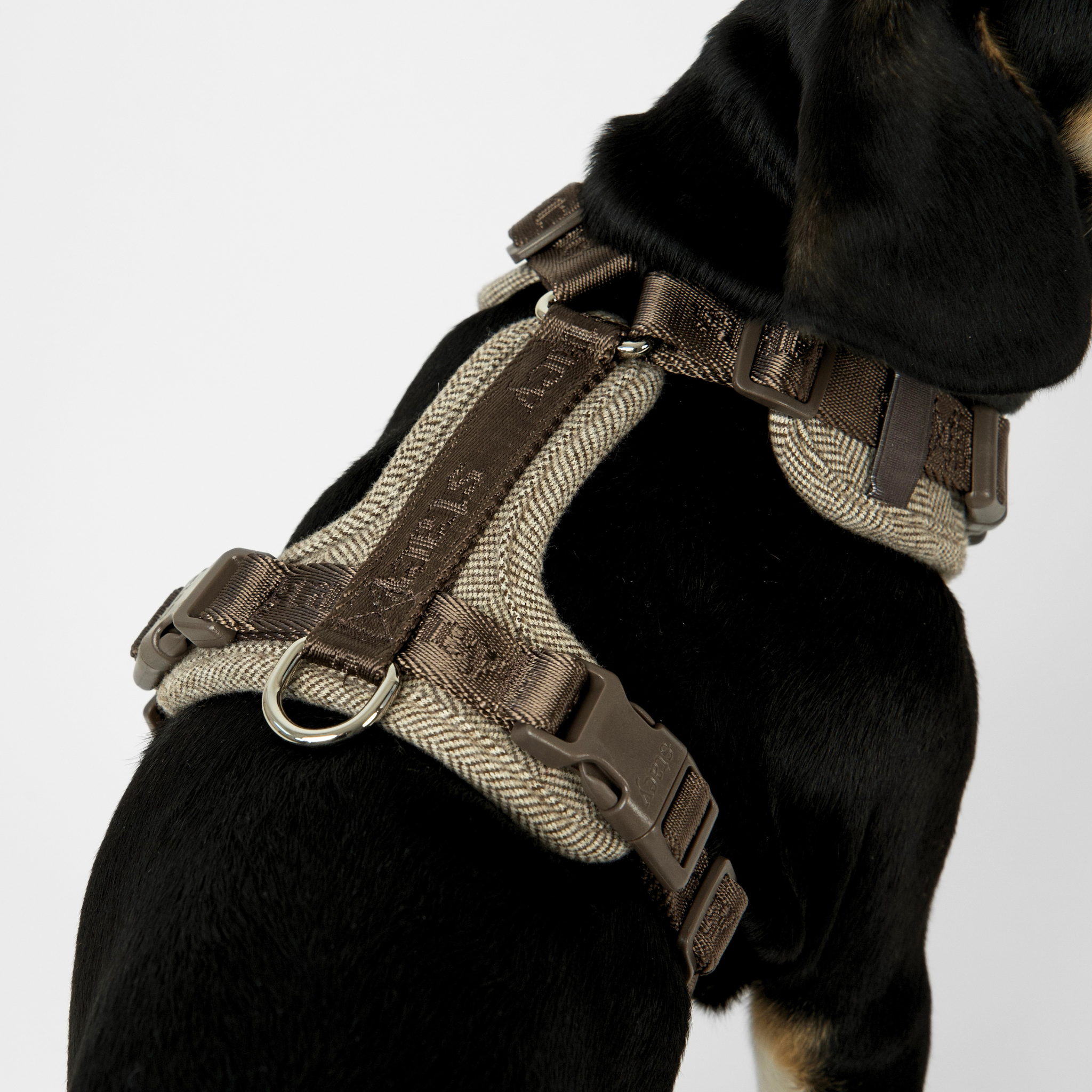 Numa Hundsele | Mocca