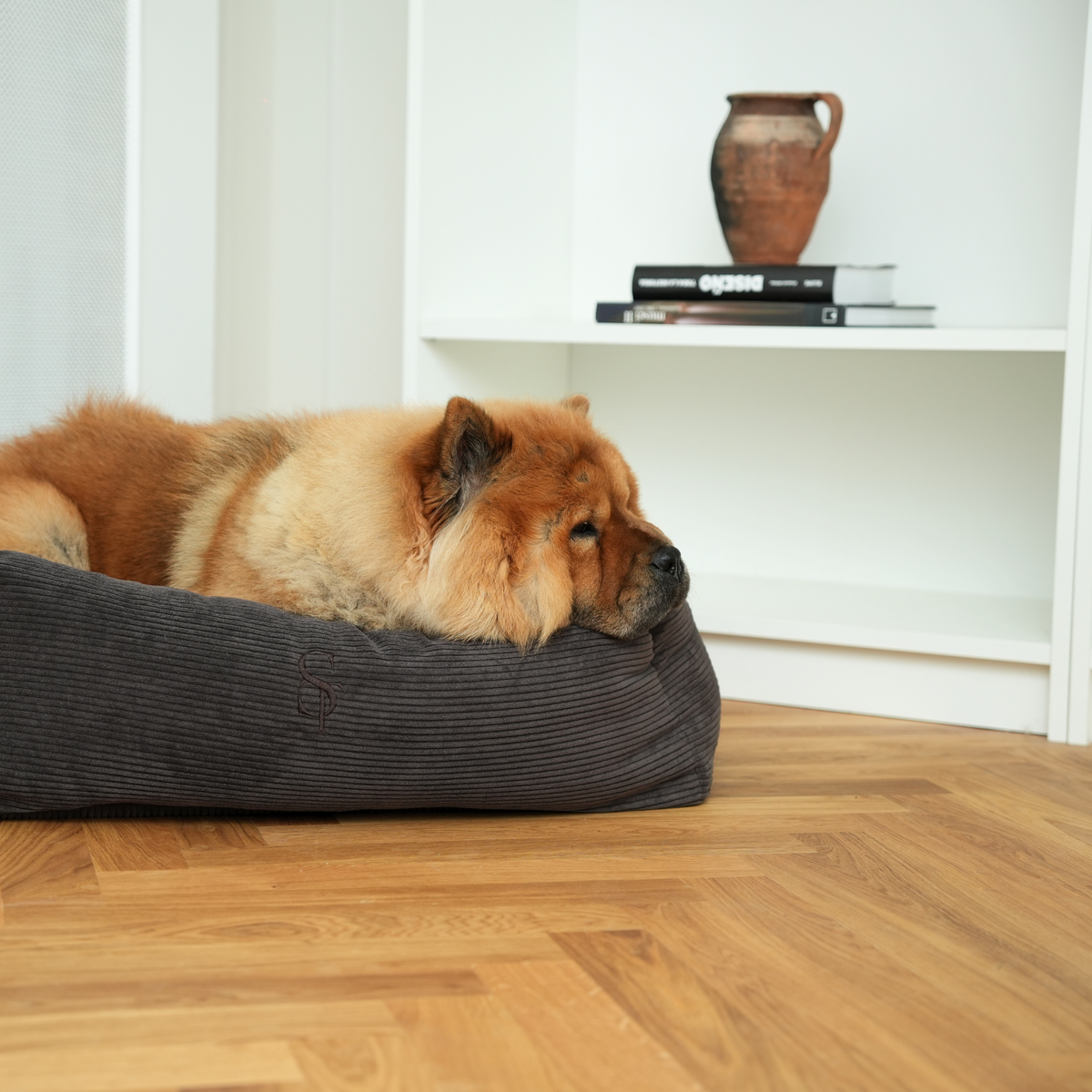 En chow chow som ligger i en hundkorg av charcoal corduroy på ett parkettgolv