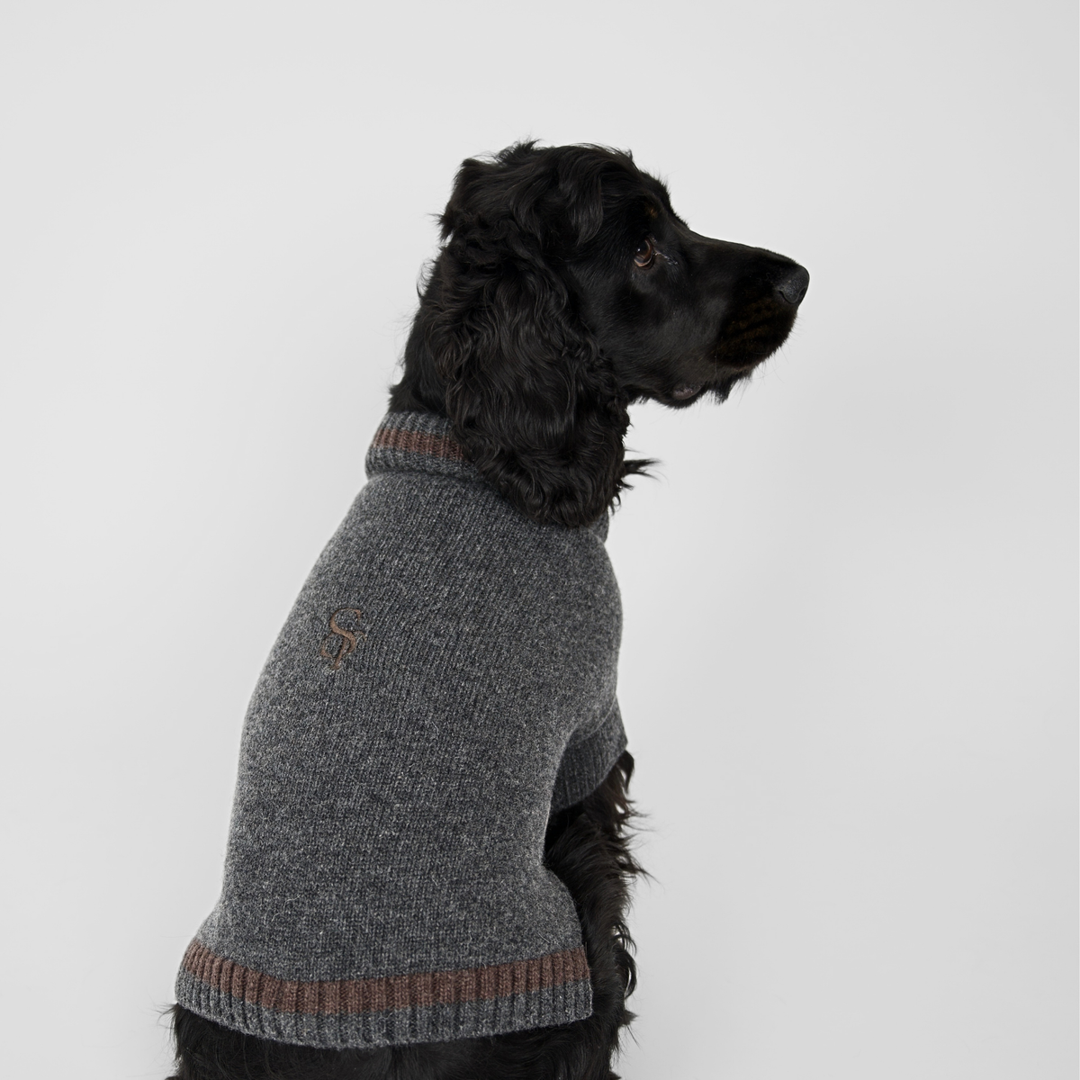 Ellen Dog Sweater | Storm/Espresso
