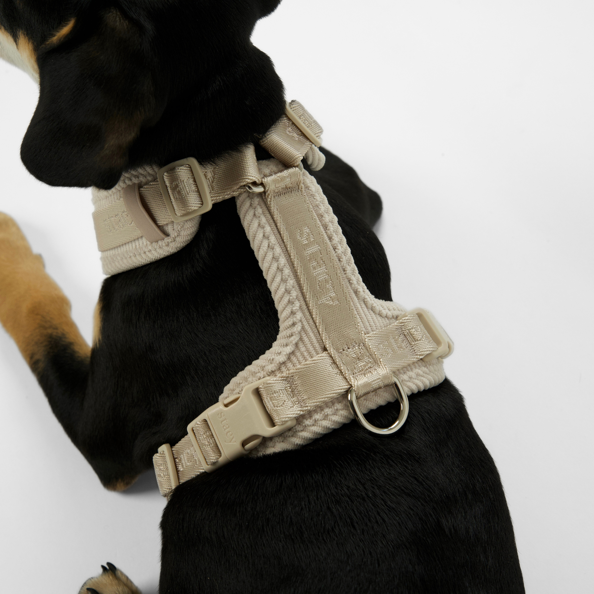 Numa Hundsele | Oat