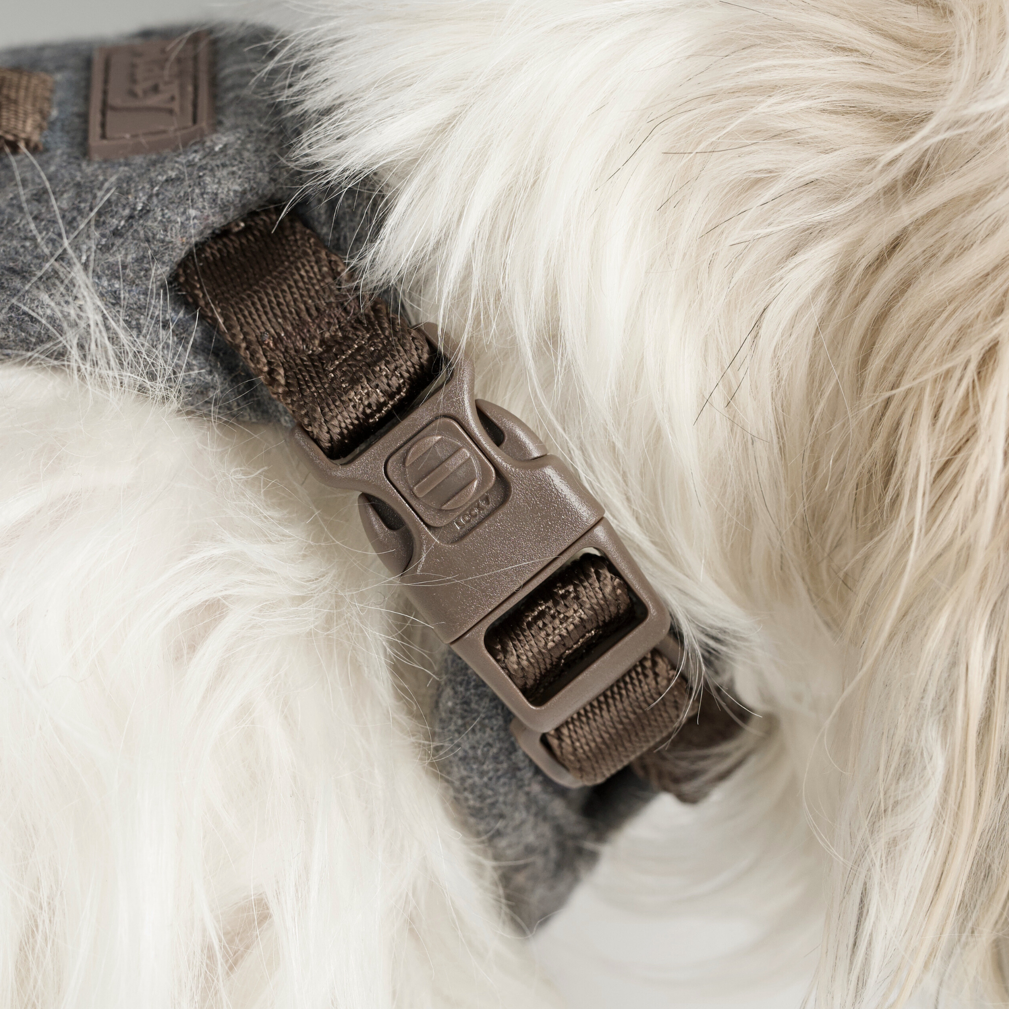 Elma Dog Harness | Stone