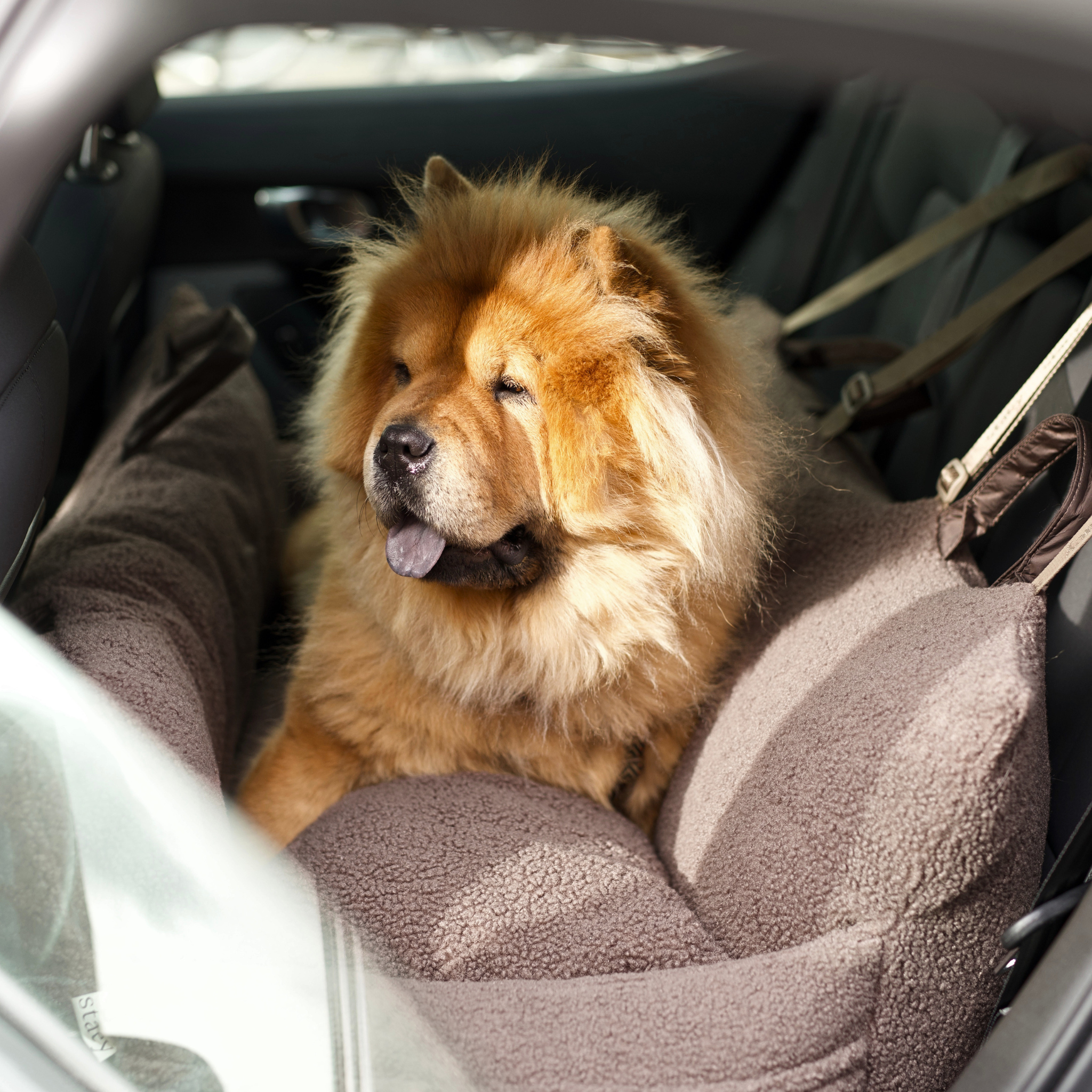 Clara Car Seat XXL | Limited Edition
