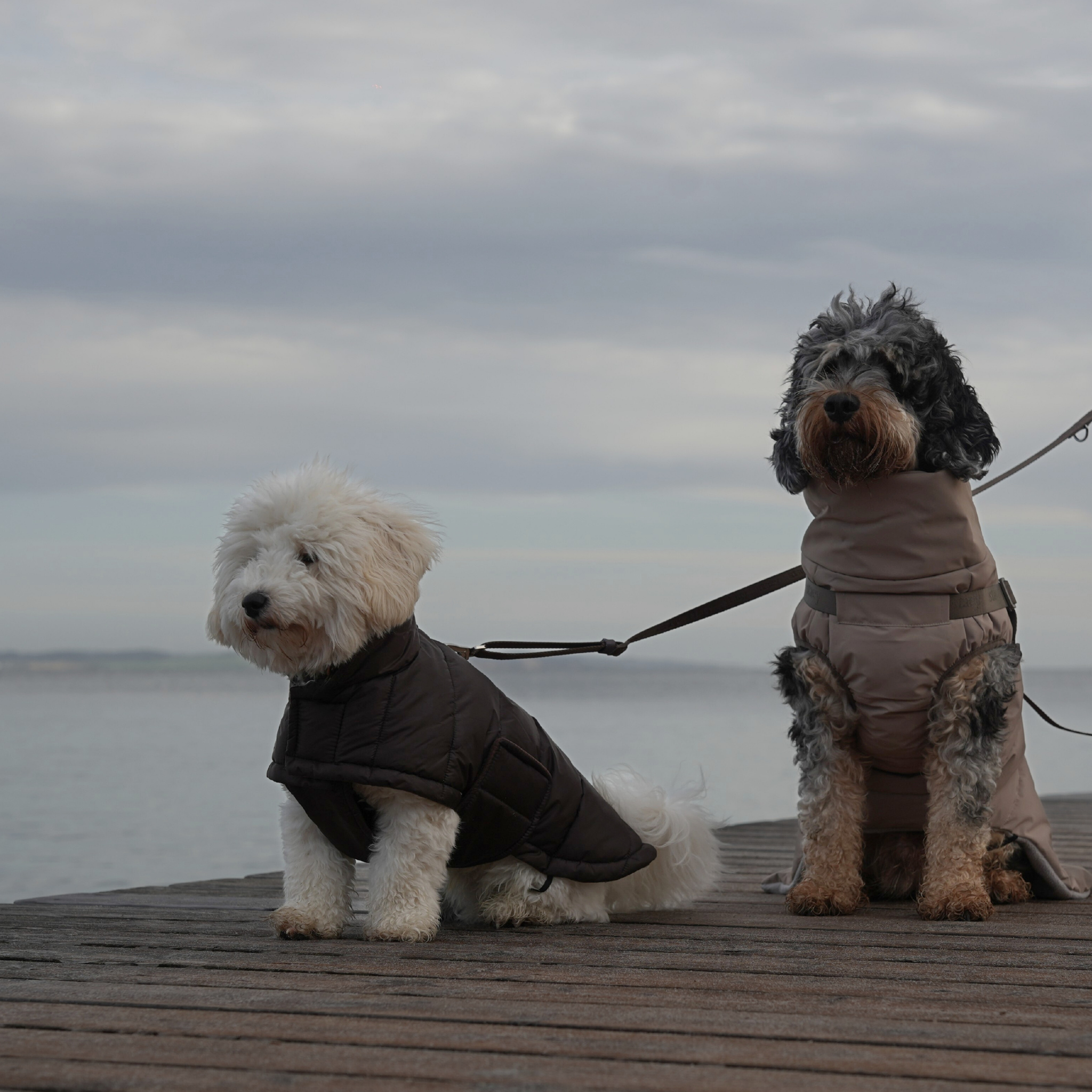 Nora hundkappa | Espresso