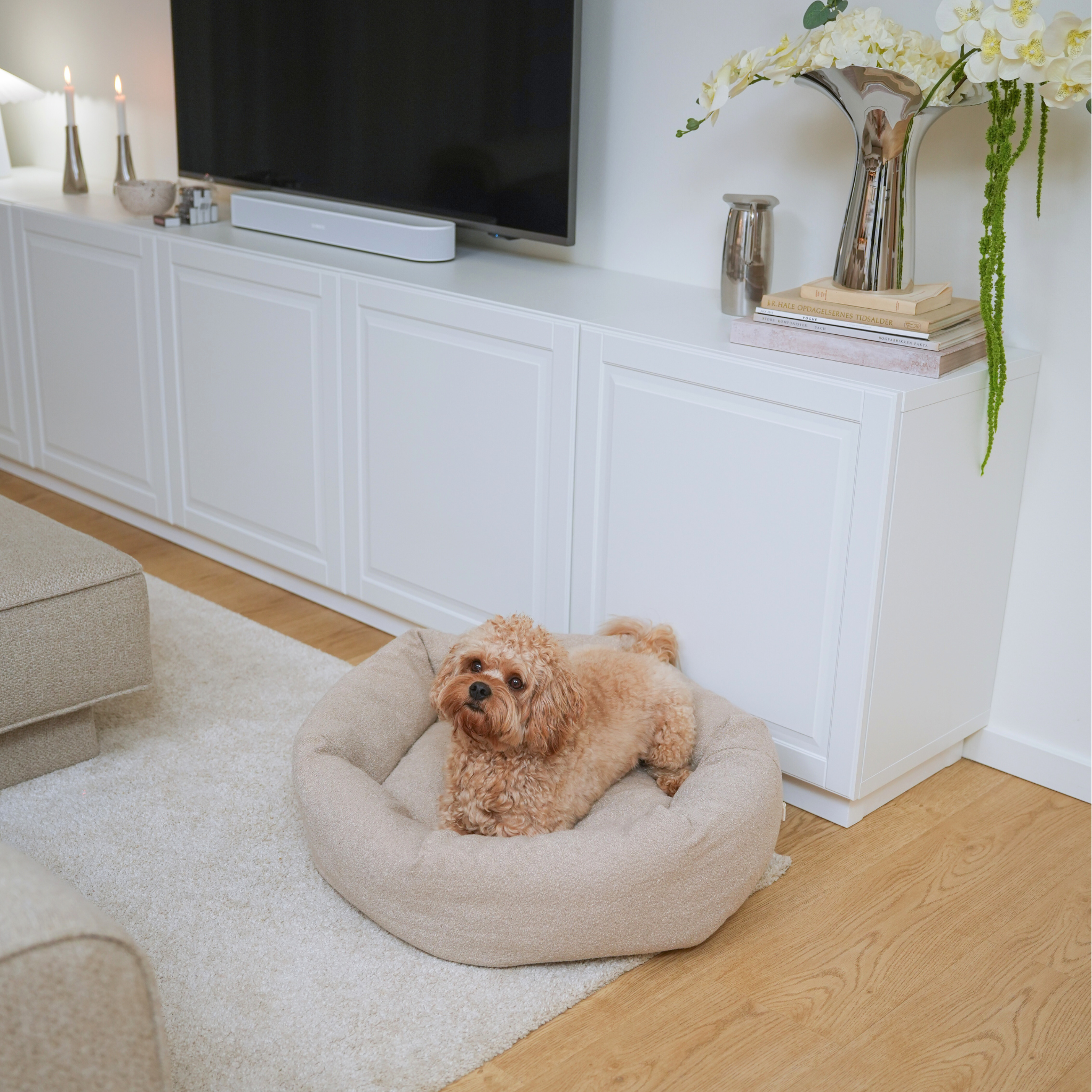 Luna Dog Bed 3.0 | Oat Bouclé