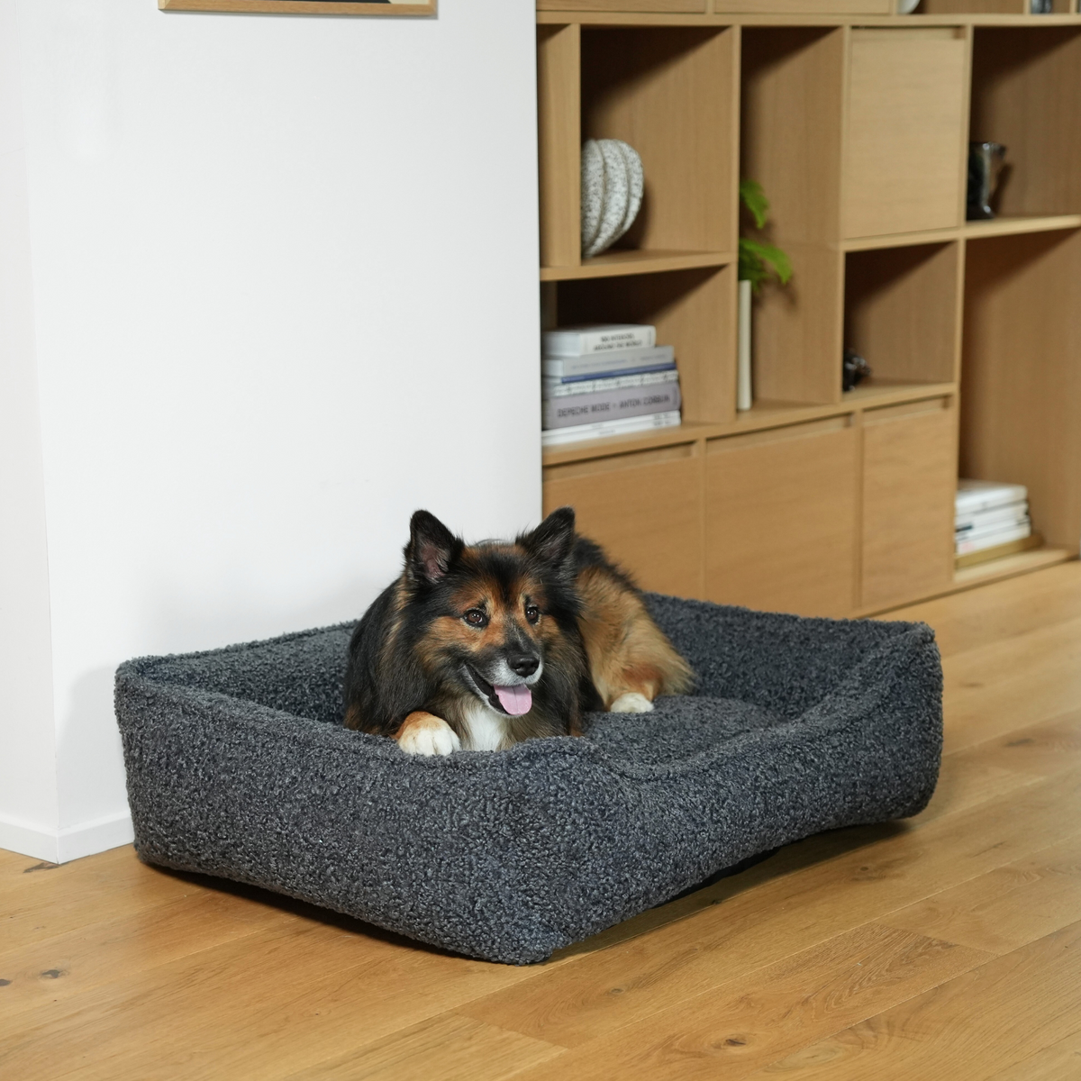 En vallhund som ligger i hundkorgen ”Storm Curly Bouclé” på ett parkettgolv