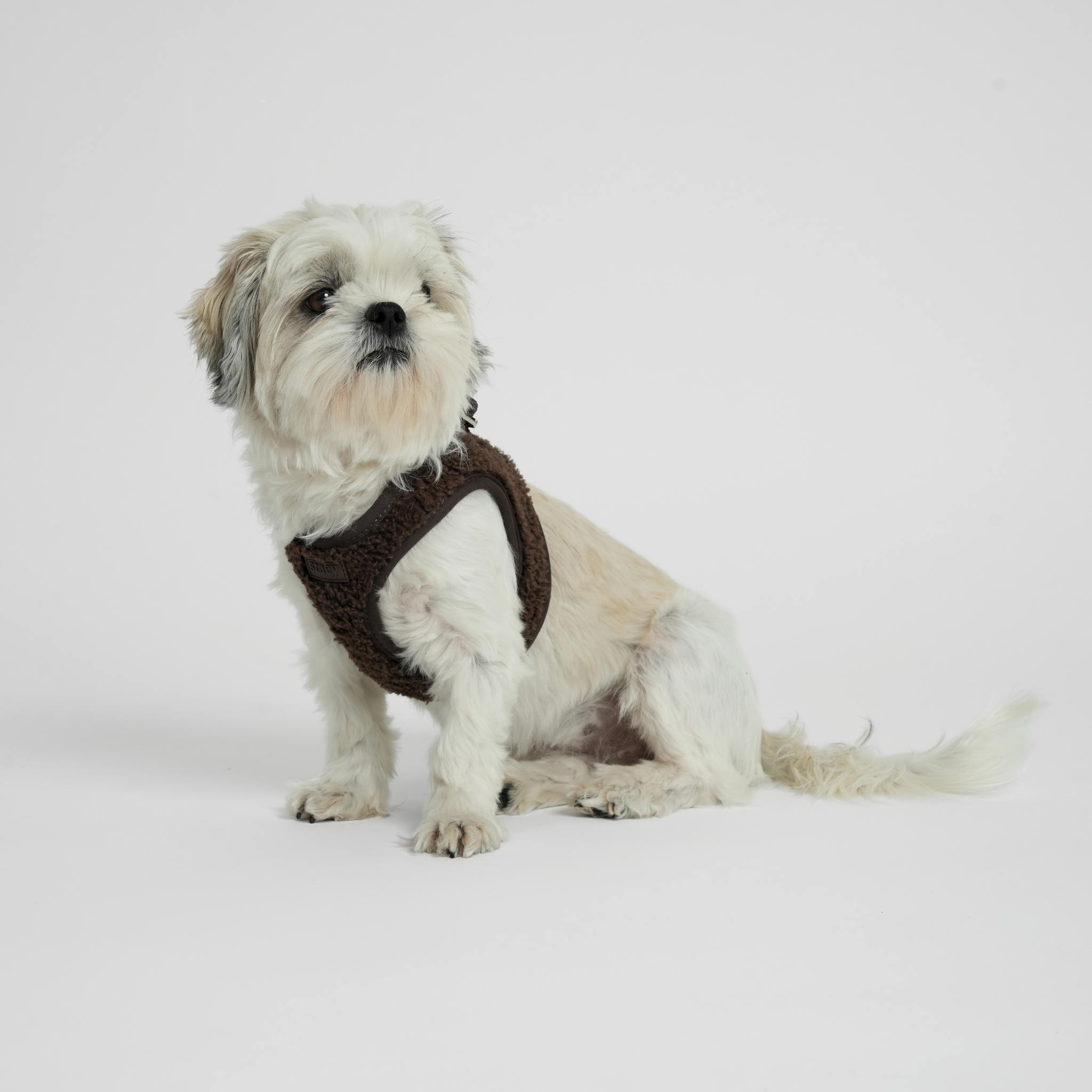 Steg-in hundsele Teddy | Espresso