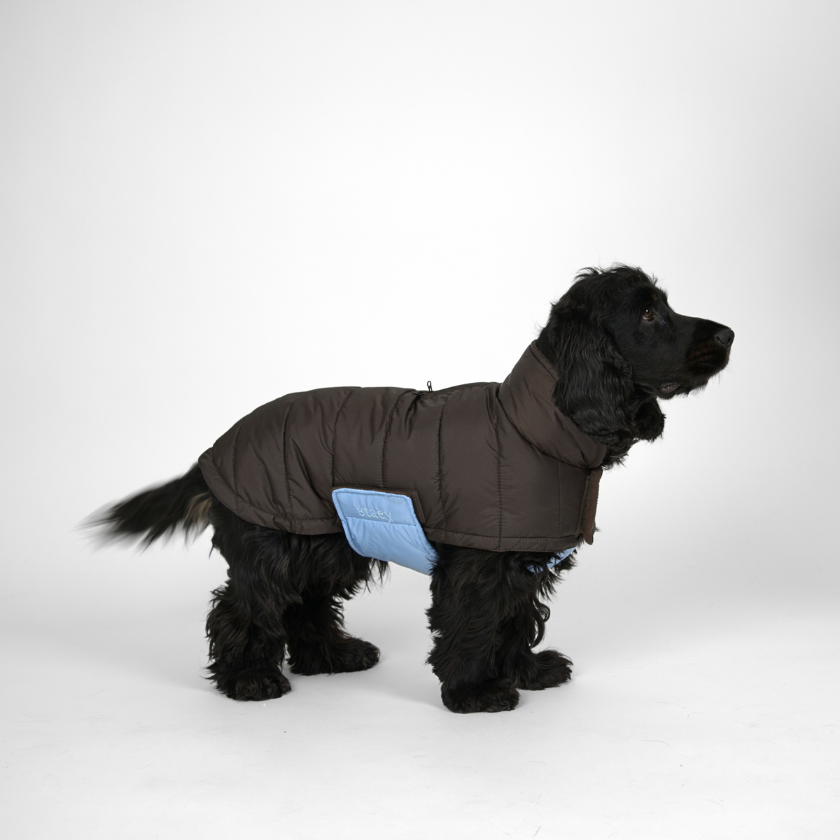 Nora hundkappa | Espresso/Sky Blue