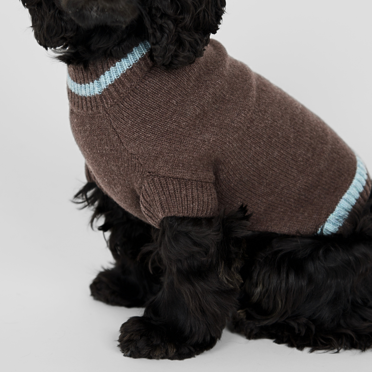 Ellen Dog Sweater | Espresso/Sky Blue