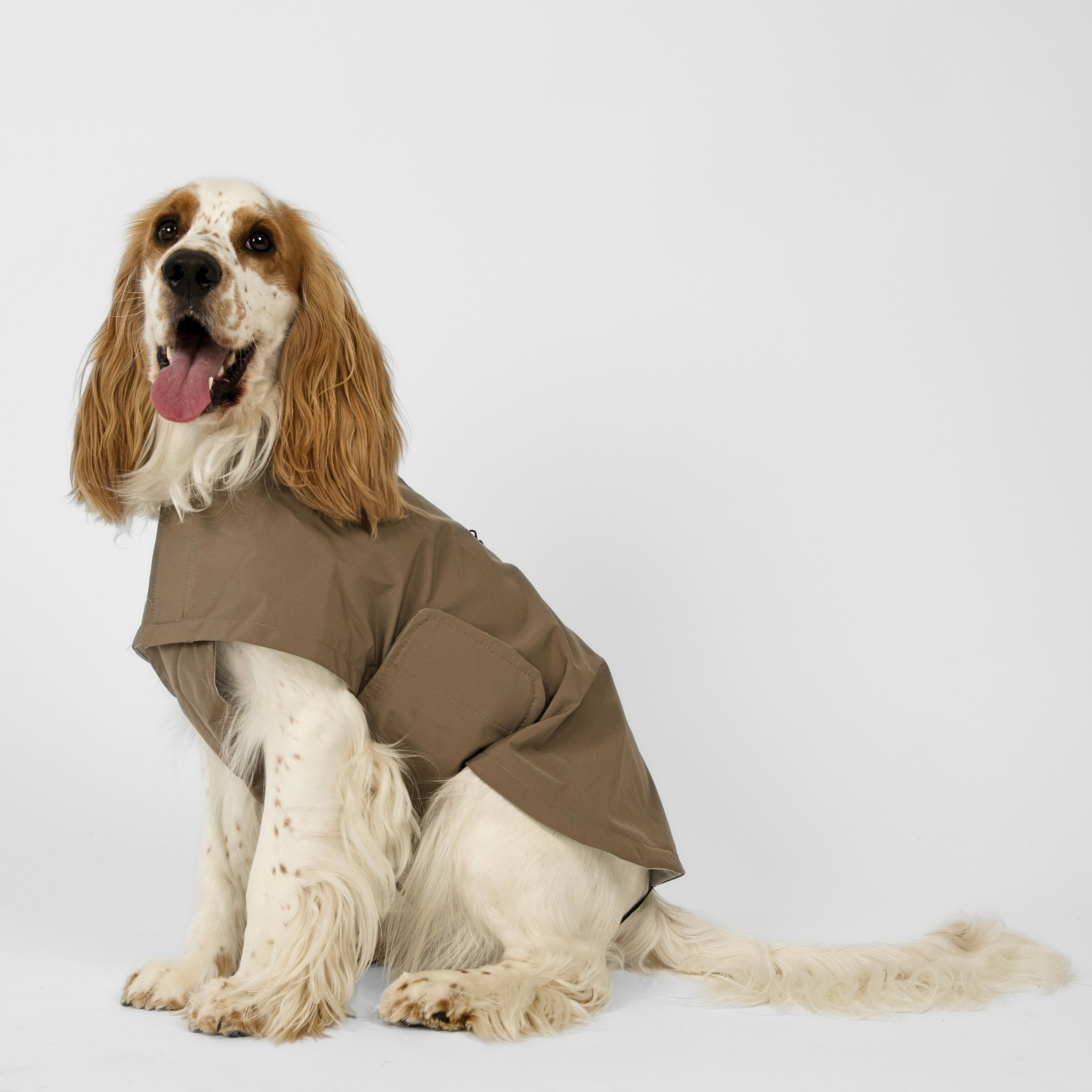 Taja hundkappa för hundar | Taupe