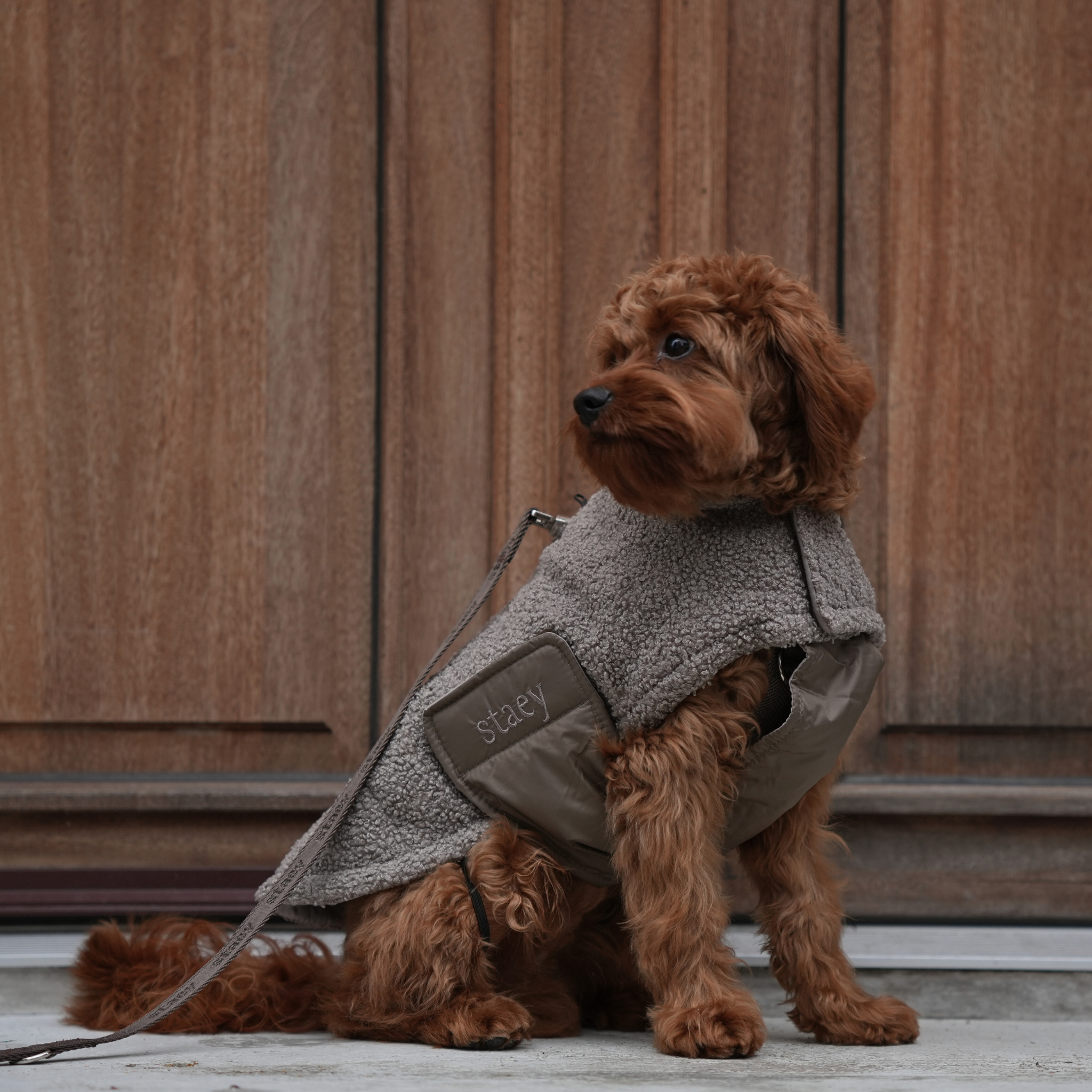 Teddy Dog Coat | Taupe