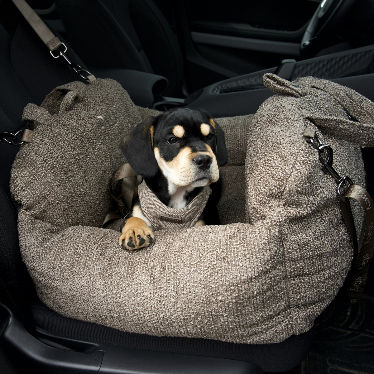En svart- och tanfärgad valp som ligger i en taupefärgad Bouclé-bilsäte för hund på baksätet i en bil