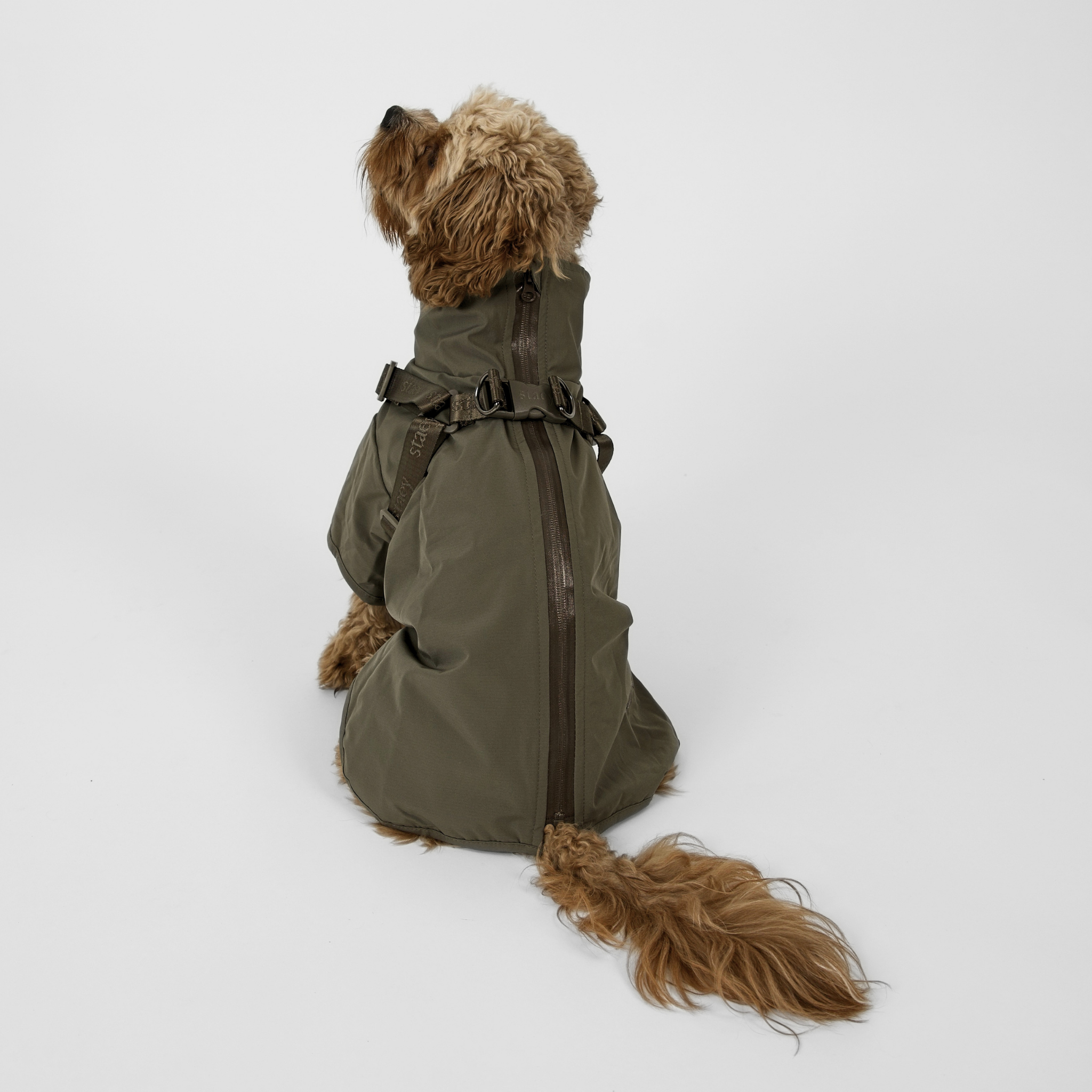 Leva hundkappa m. sele | Moss green