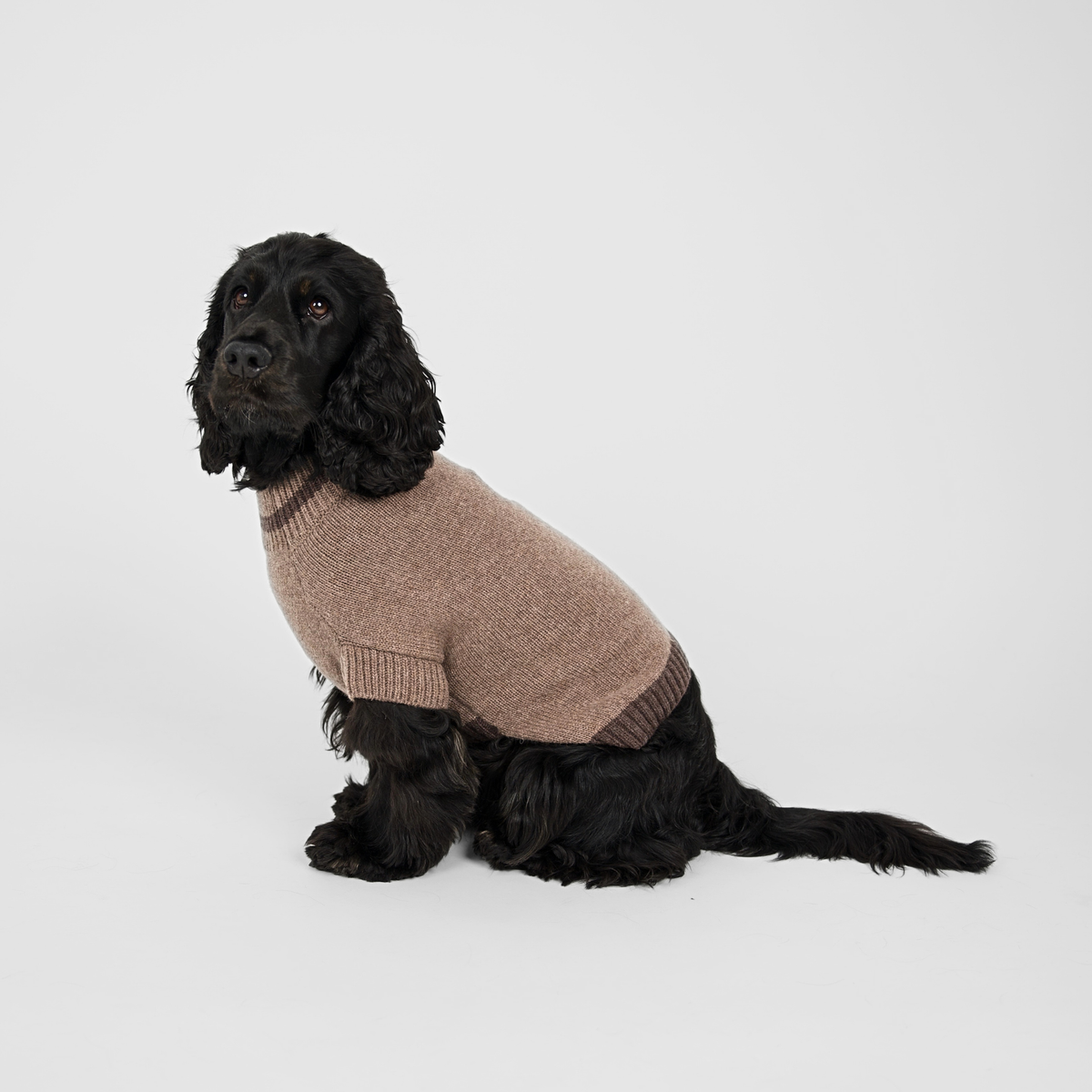 Ellen Dog Sweater | Taupe/Espresso