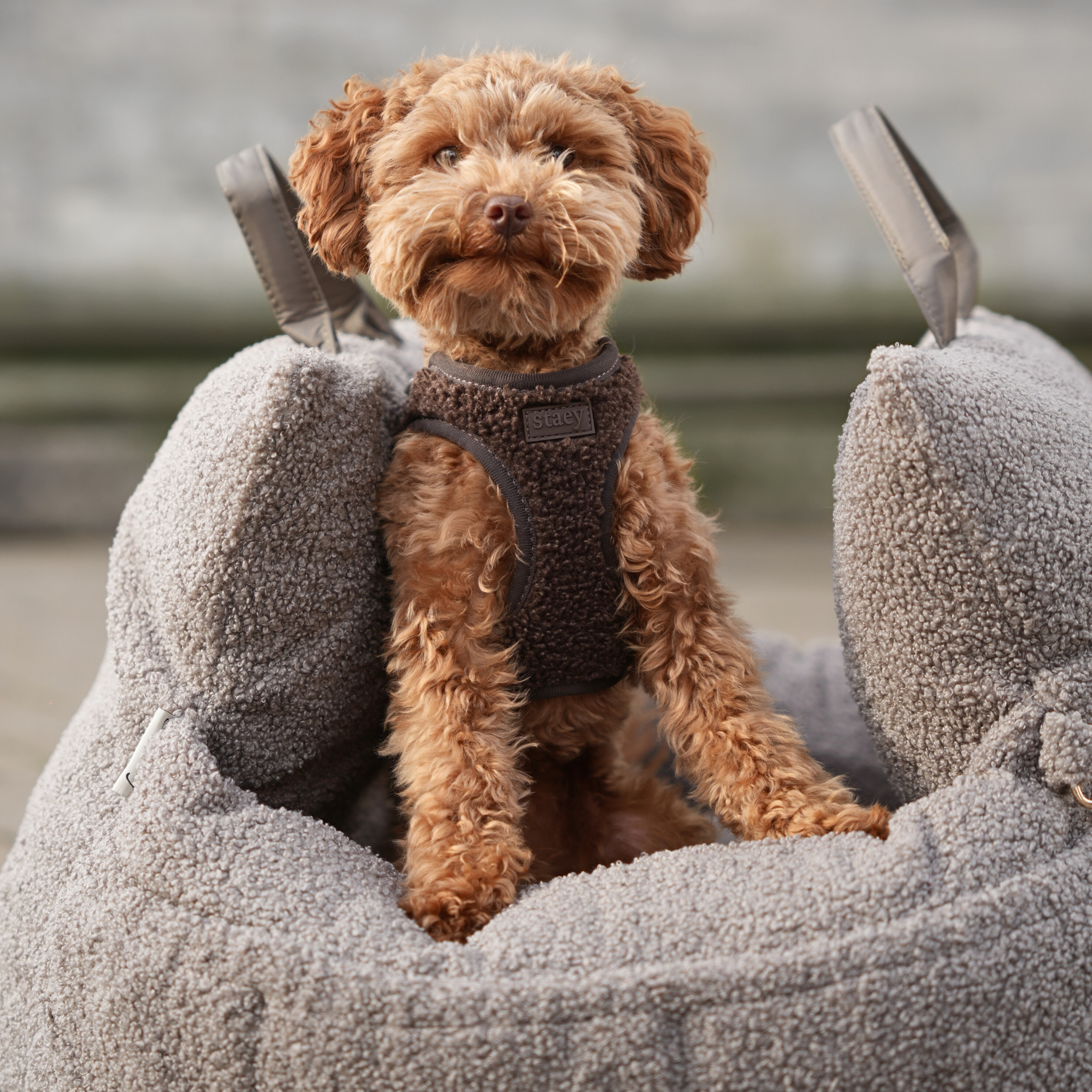 Lara Car Seat | Teddy 2.0