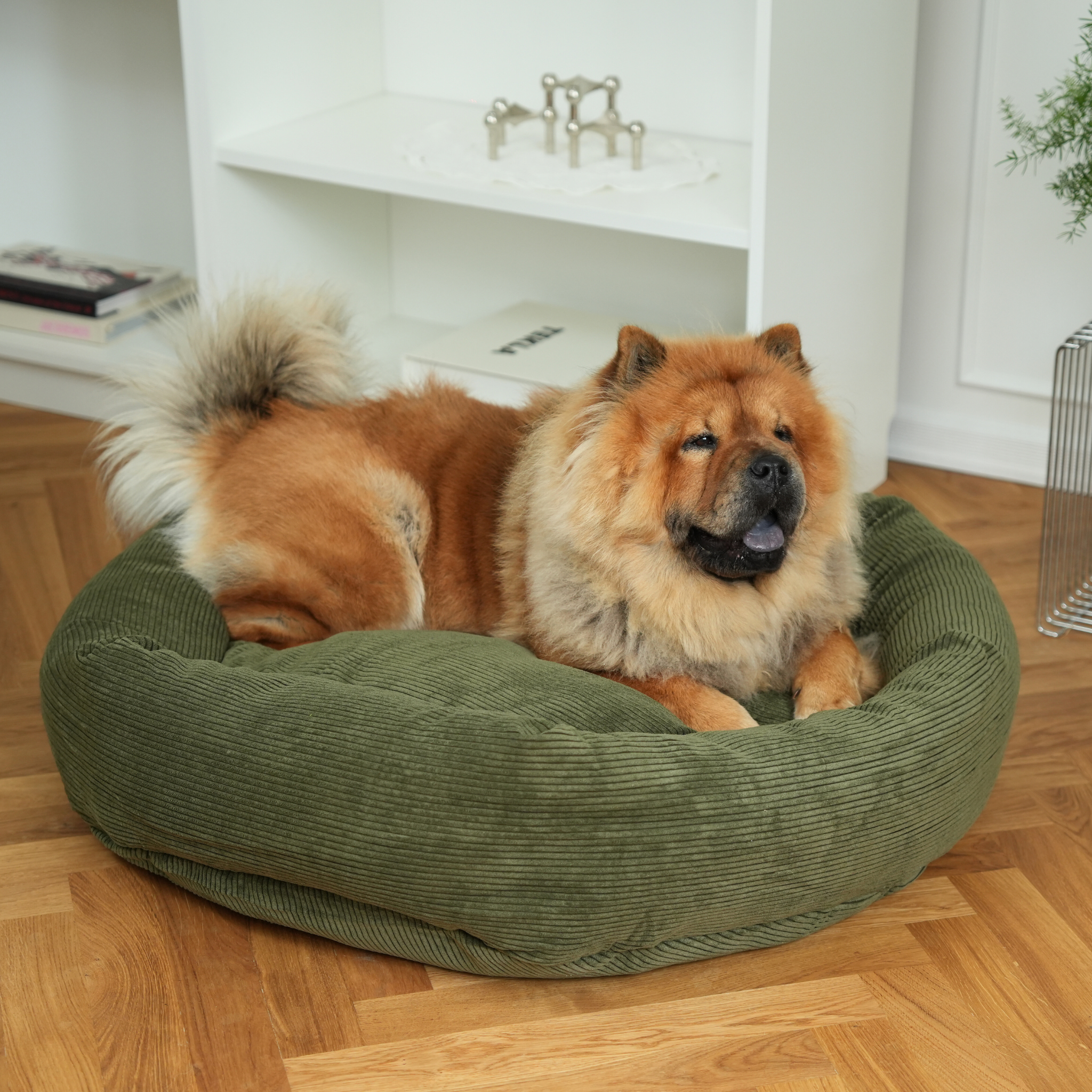 Luna Dog Bed 3.0 | Mossgrön manchester