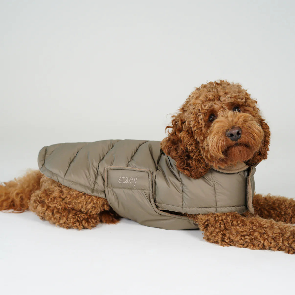 Nora Dog Coat | Nature