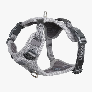 Elma dog harness in dusty blue herringbone with padded chest panel