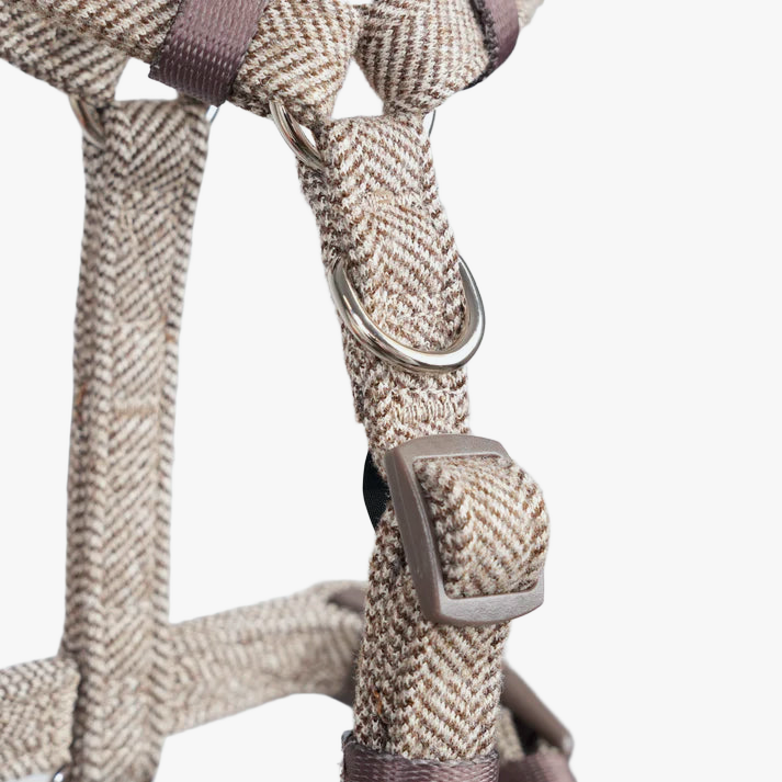 Close-up of the D-ring and strap adjuster on the mocca Tara harness