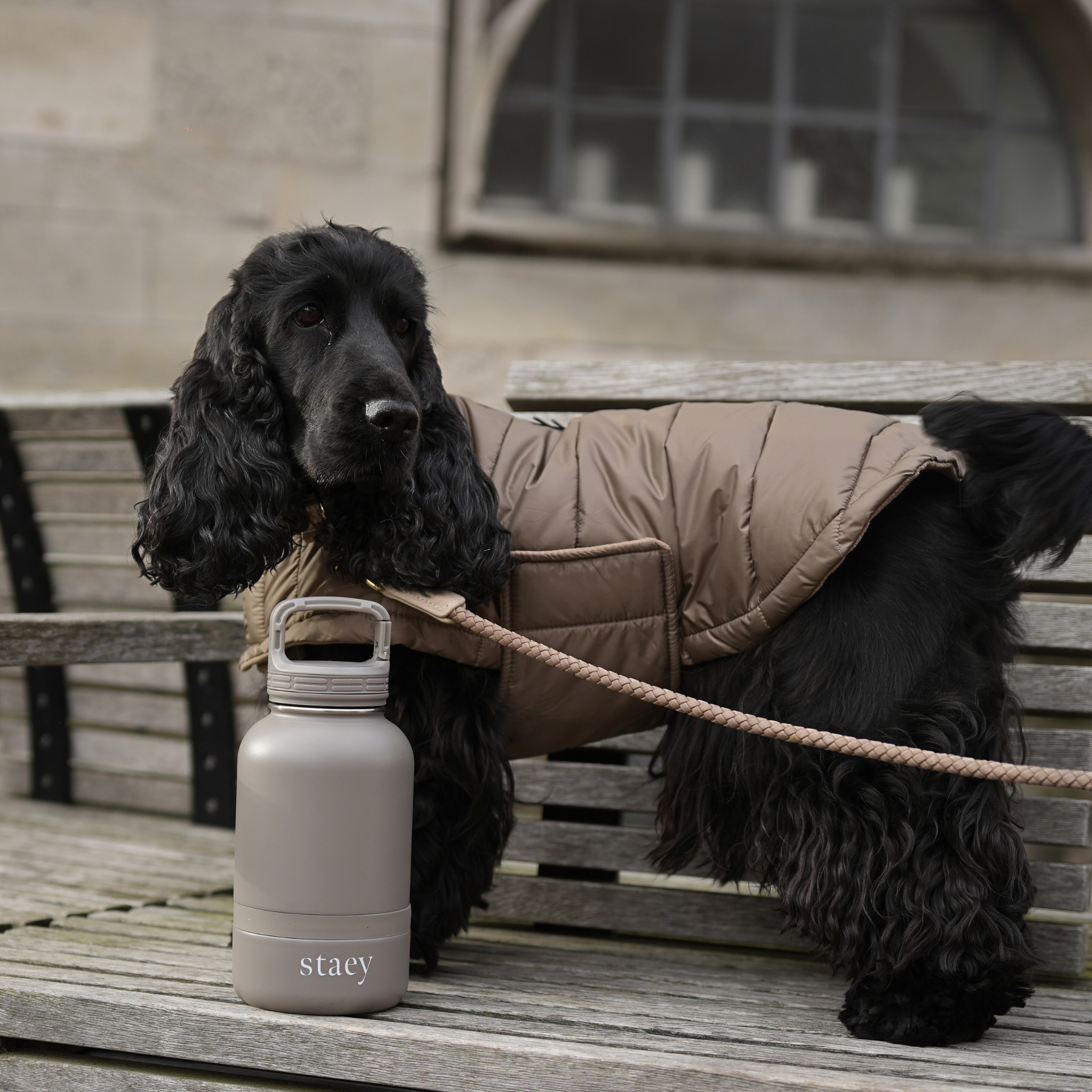 Noona 2-i-1 flaska med Skål | Rostfritt stål