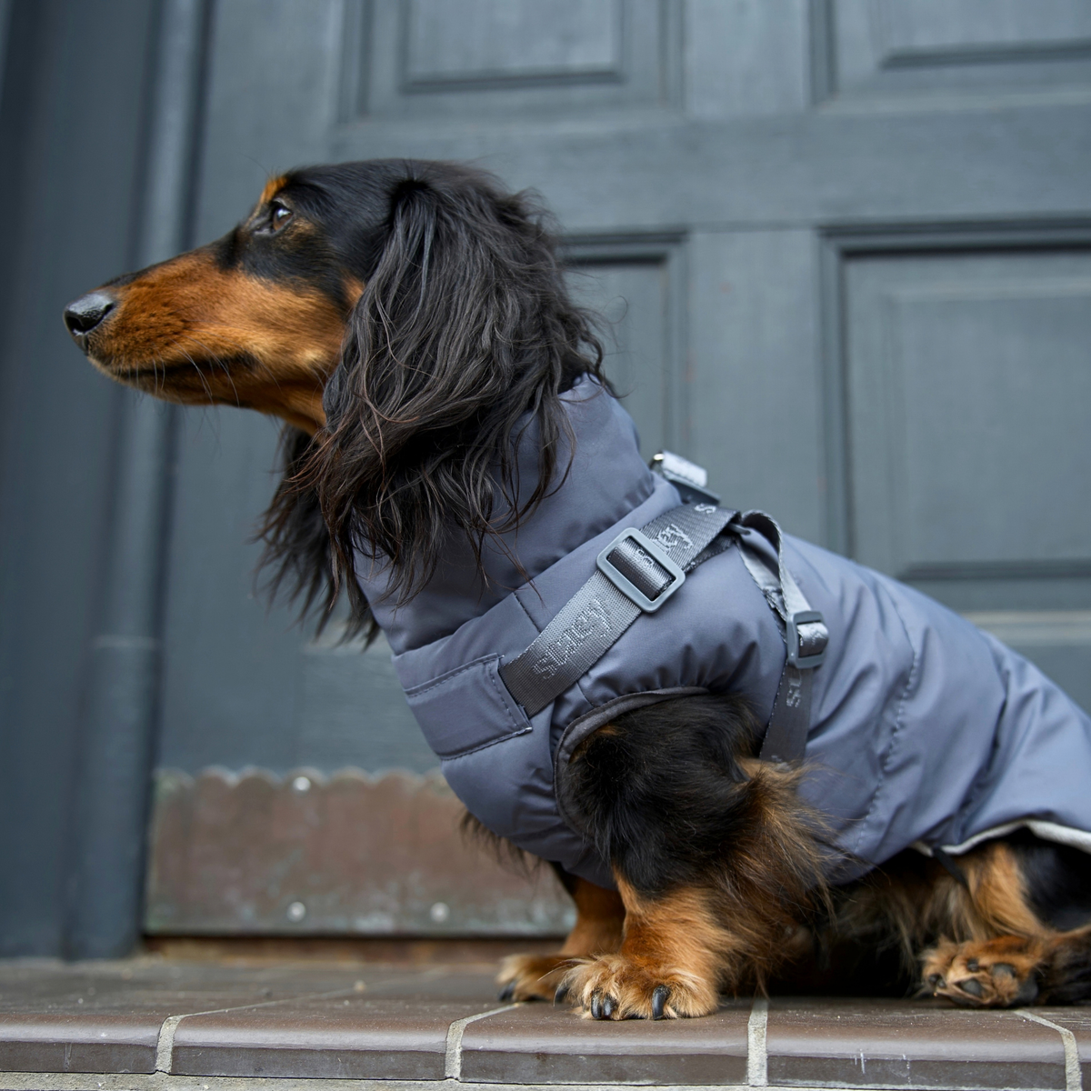 Vera hundkappa m. sele | Dusty Blue