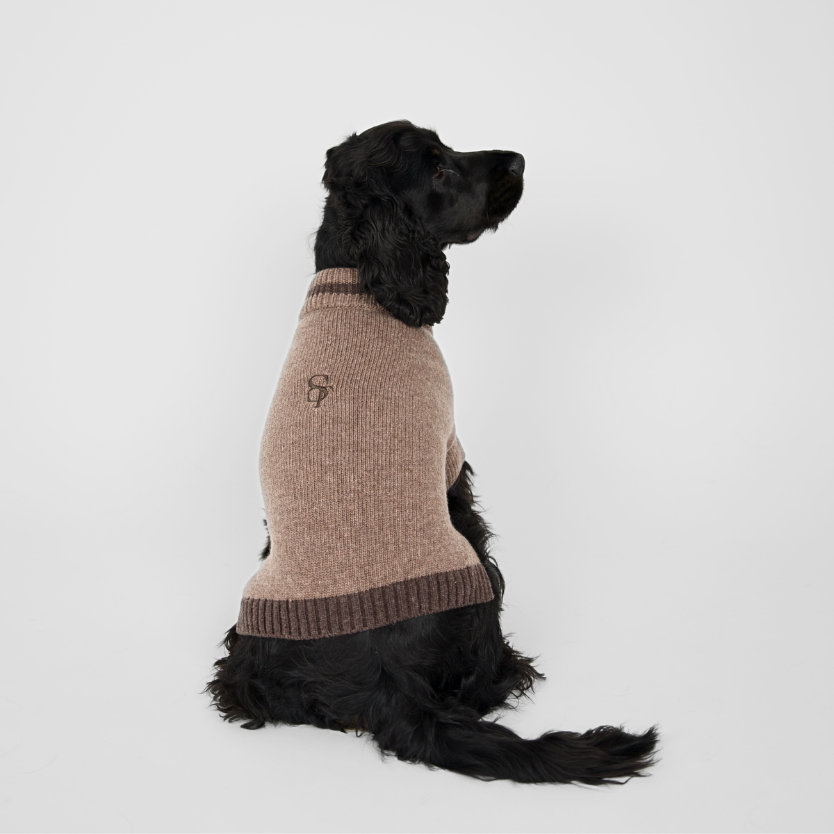 Ellen Dog Sweater | Taupe/Espresso