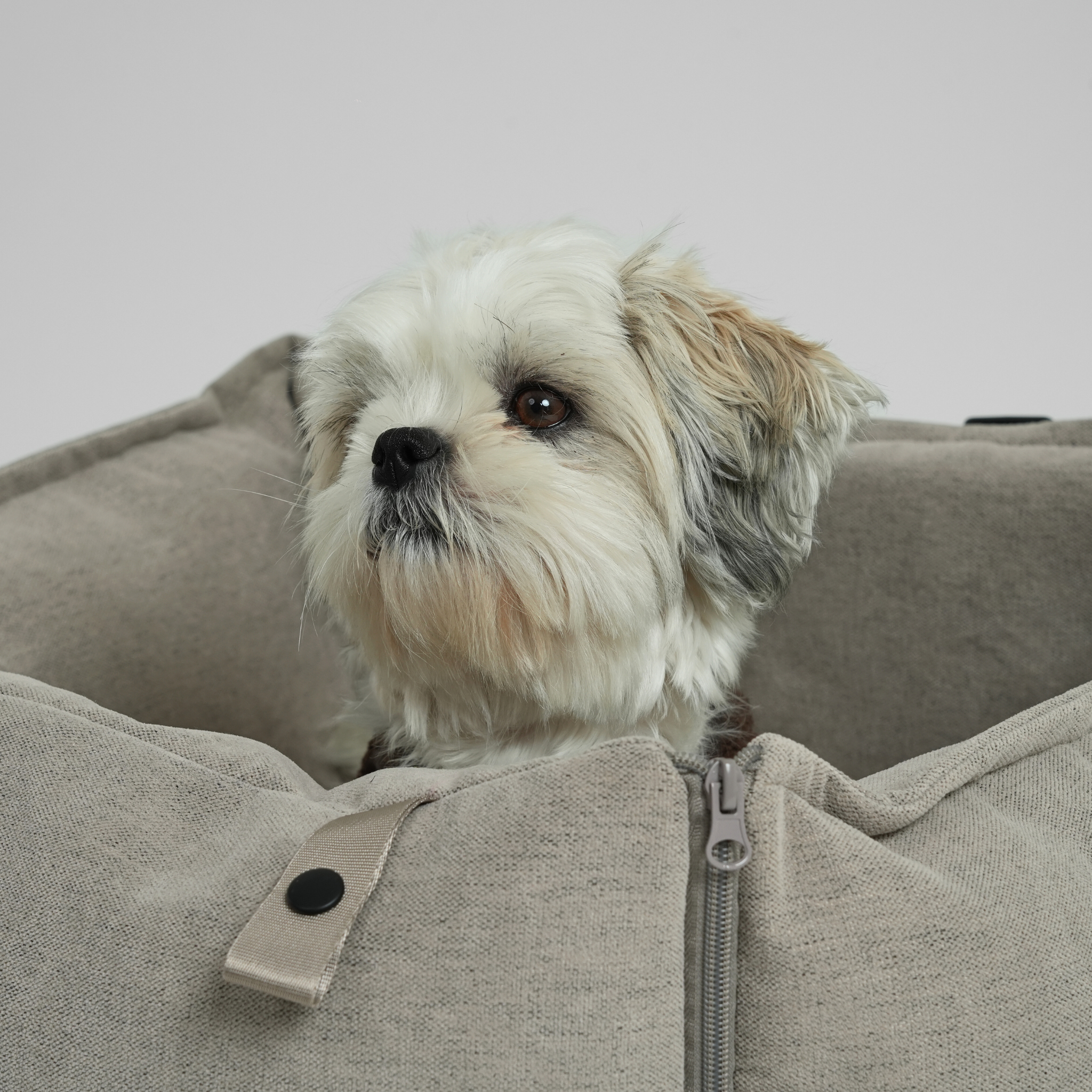 Fenja 2-in-1 Car Seat | Dune