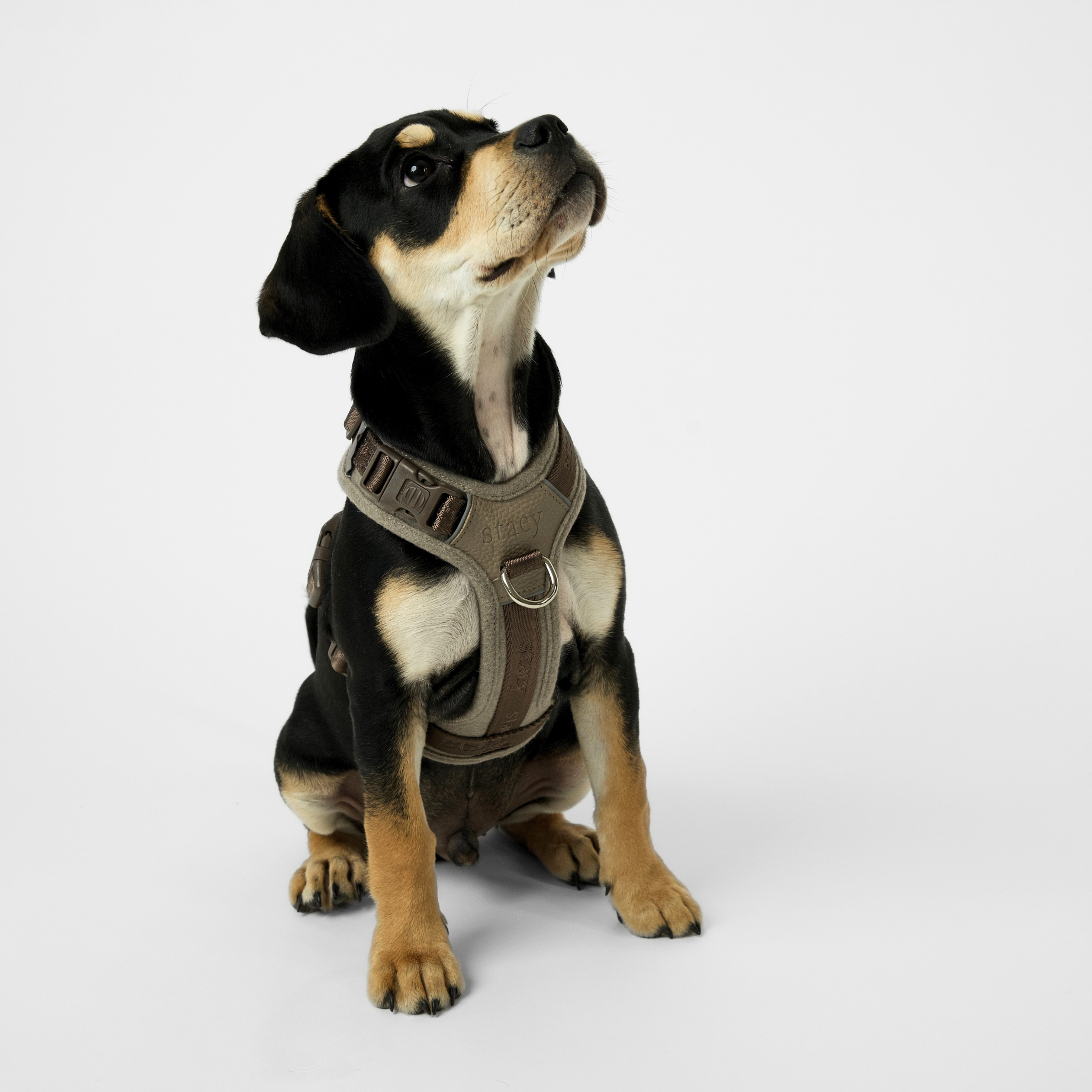 Numa Hundsele | Sand