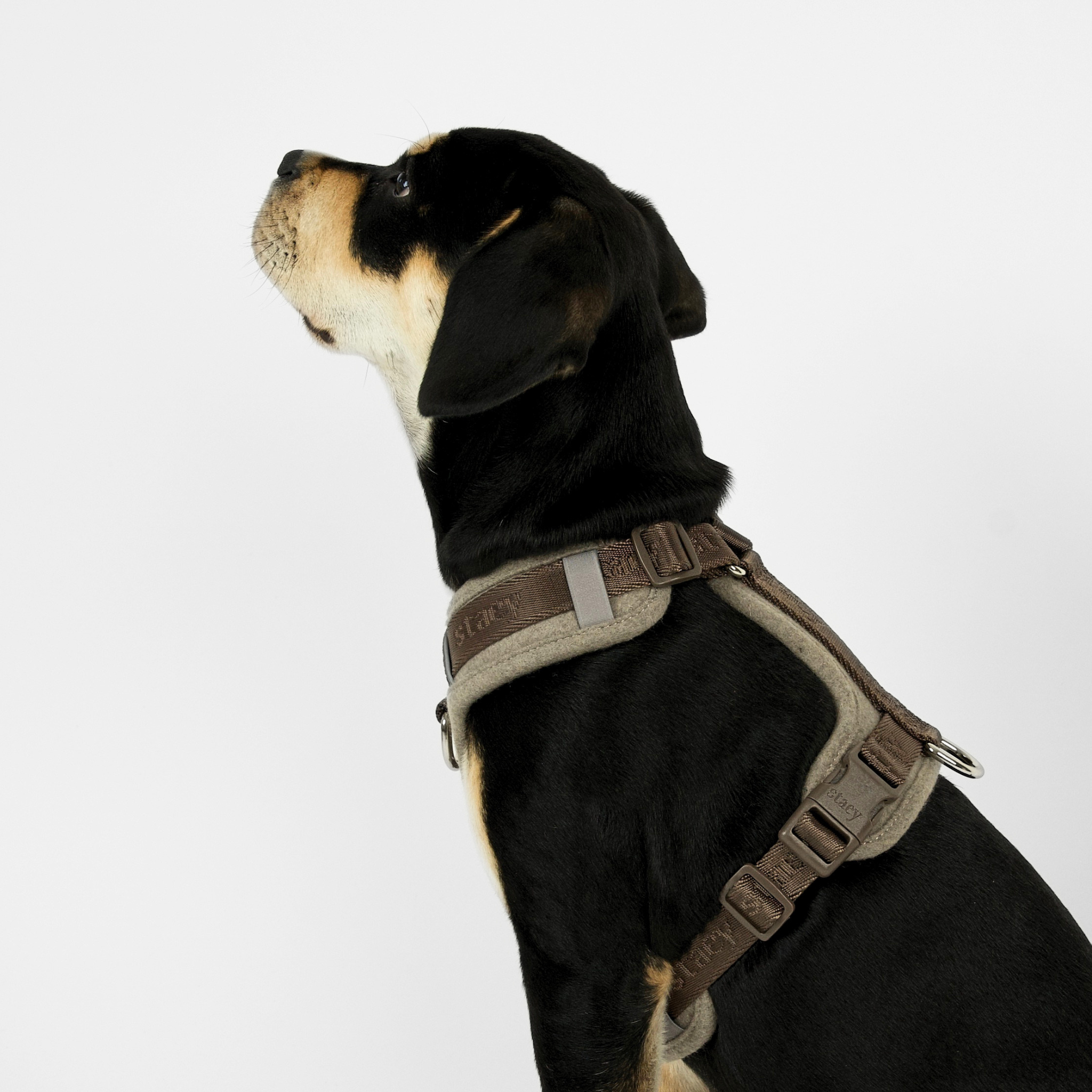 Numa Hundsele | Sand