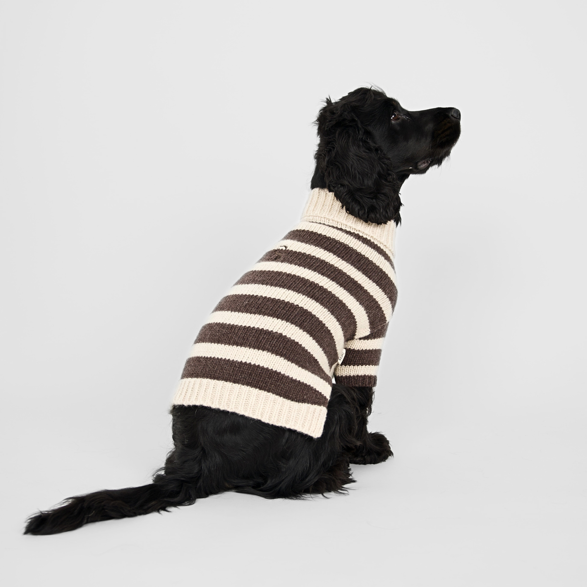 Liva hundtröja | Oat/Espresso