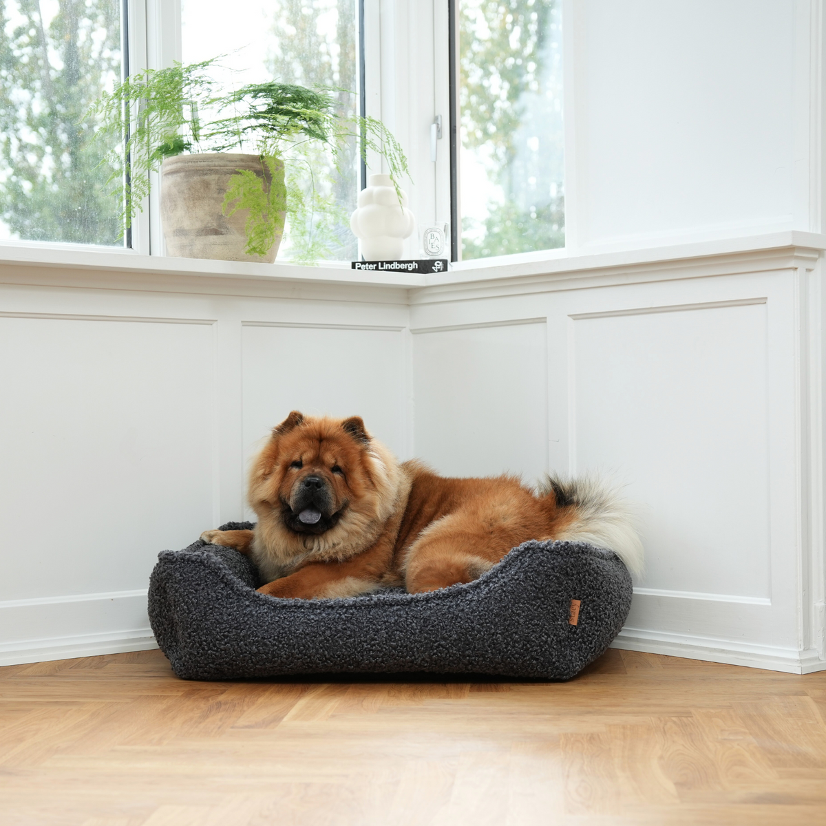 En chow chow ligger i hundkorgen ”Storm Curly Bouclé” vid ett fönster