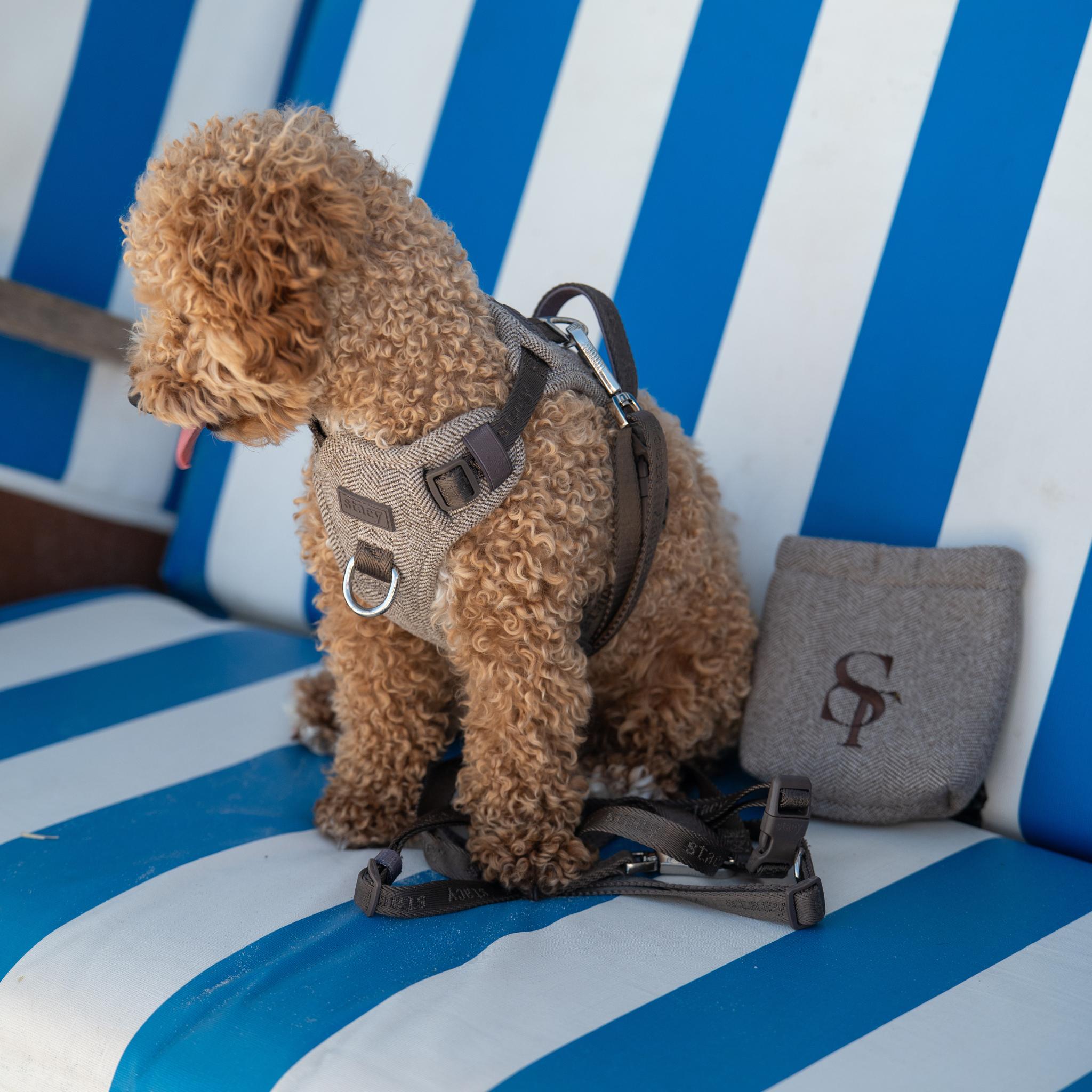 Elma Dog Harness | Mocca