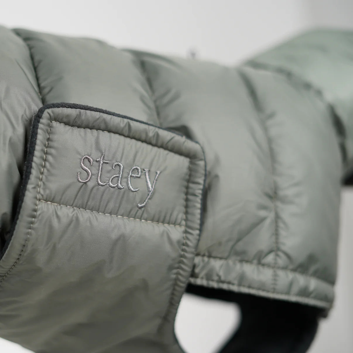 Nora hundkappa | Mossgrön