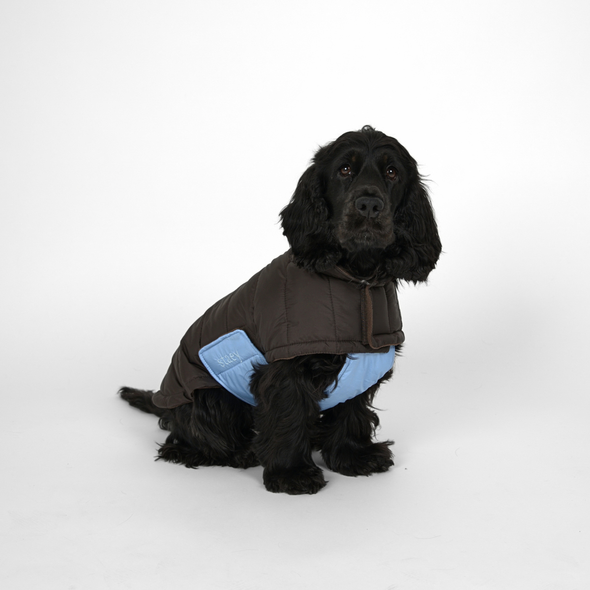Nora hundkappa | Espresso/Sky Blue