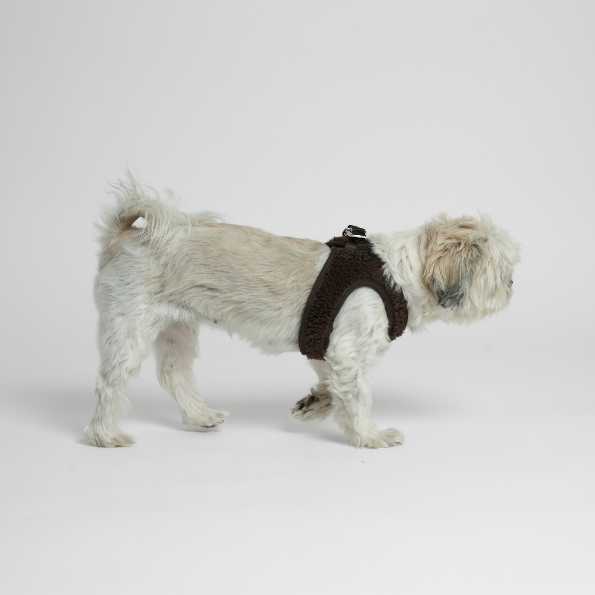 Steg-in hundsele Teddy | Espresso