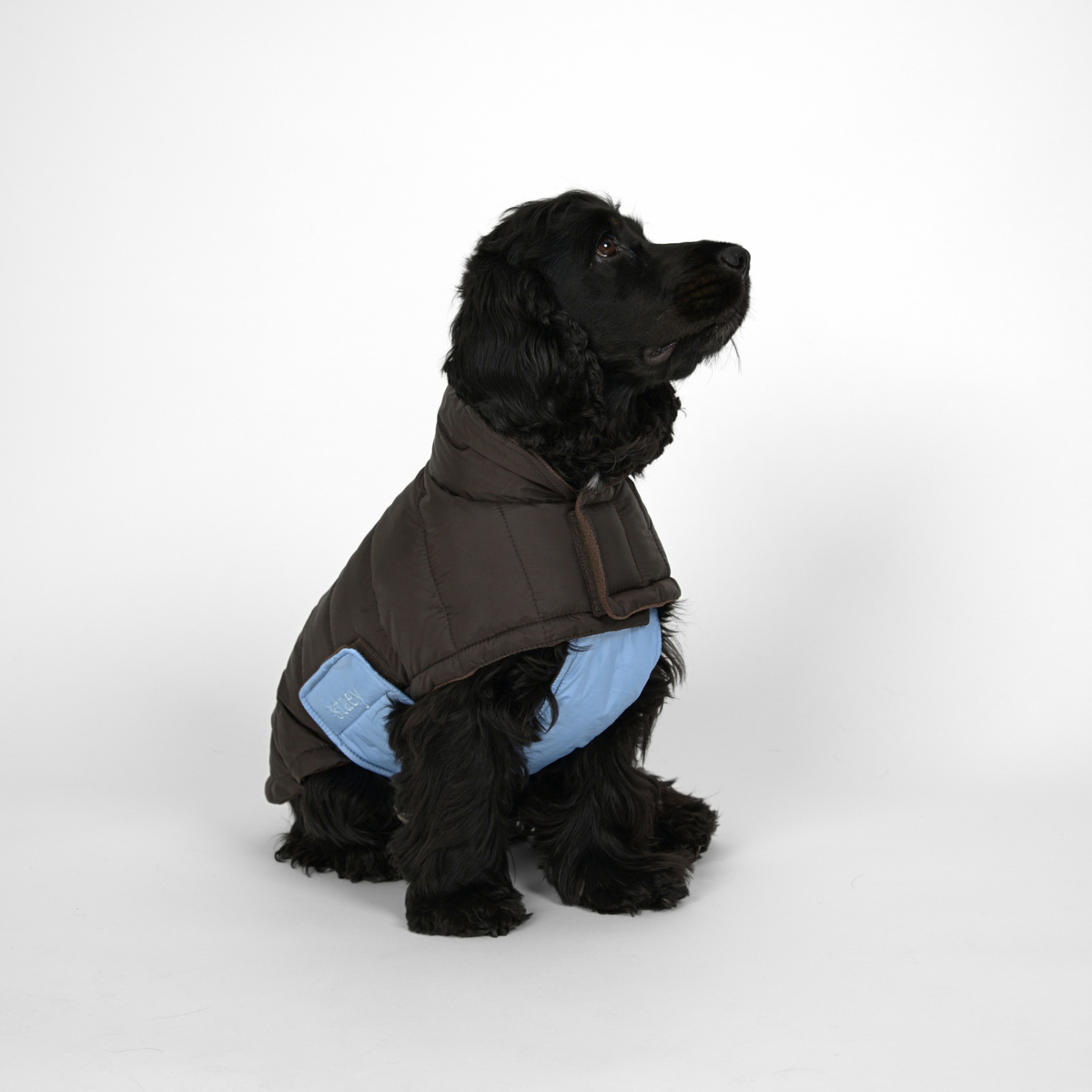 Nora hundkappa | Espresso/Sky Blue