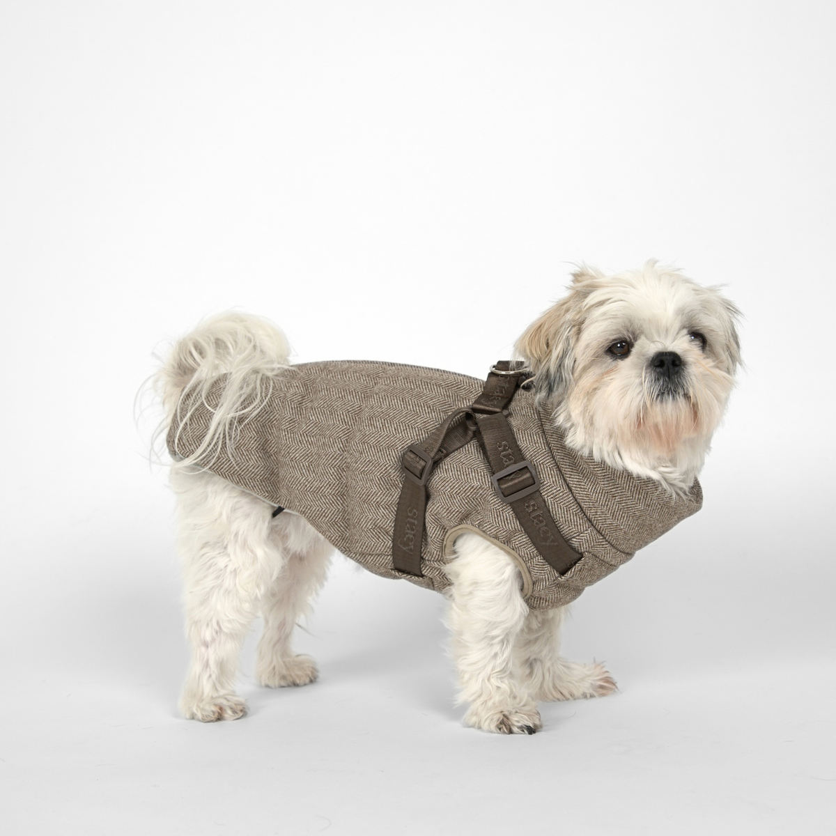 Vera hundkappa m. sele | Herringbone Mocca