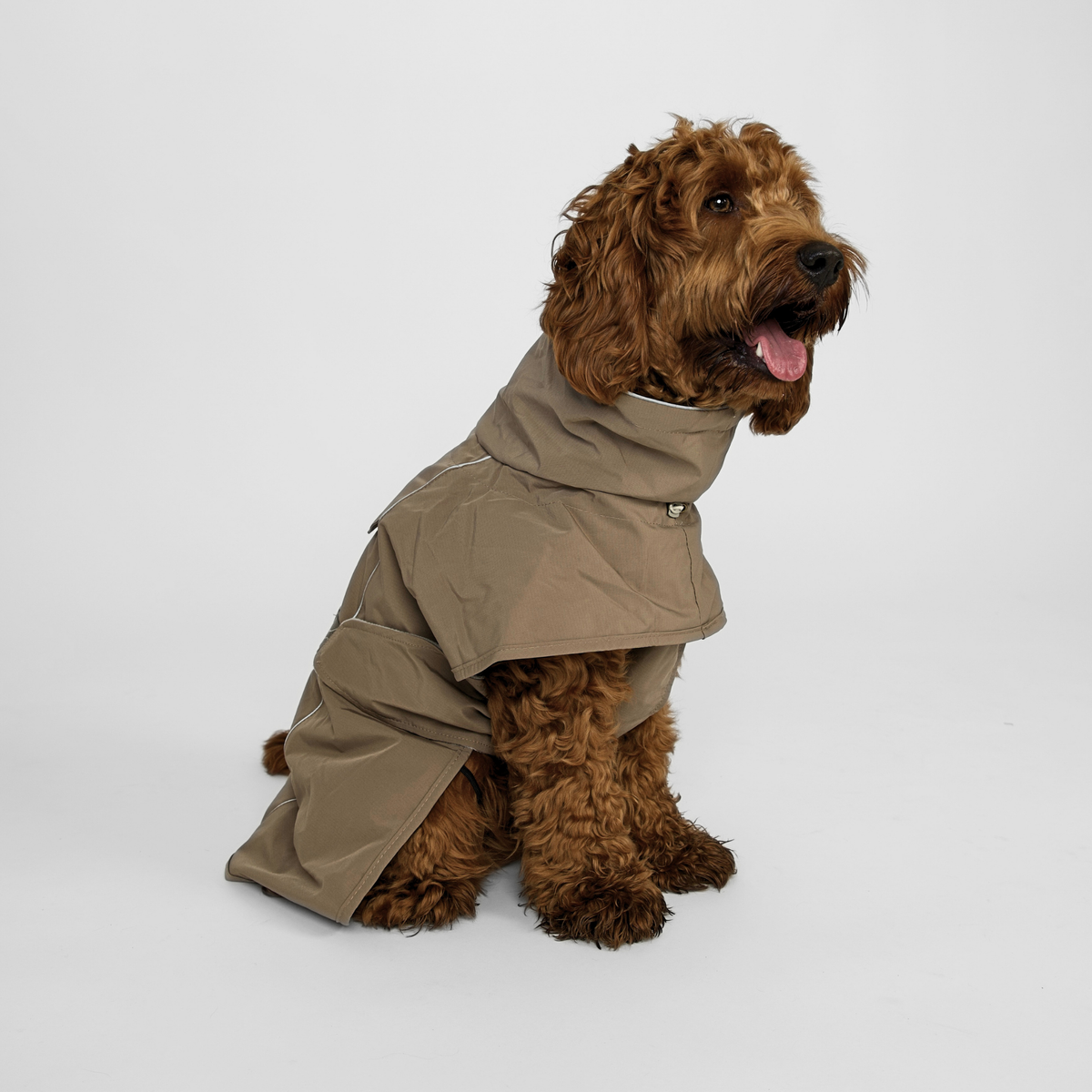 Cockapoo sitting in the taupe Clara rain coat