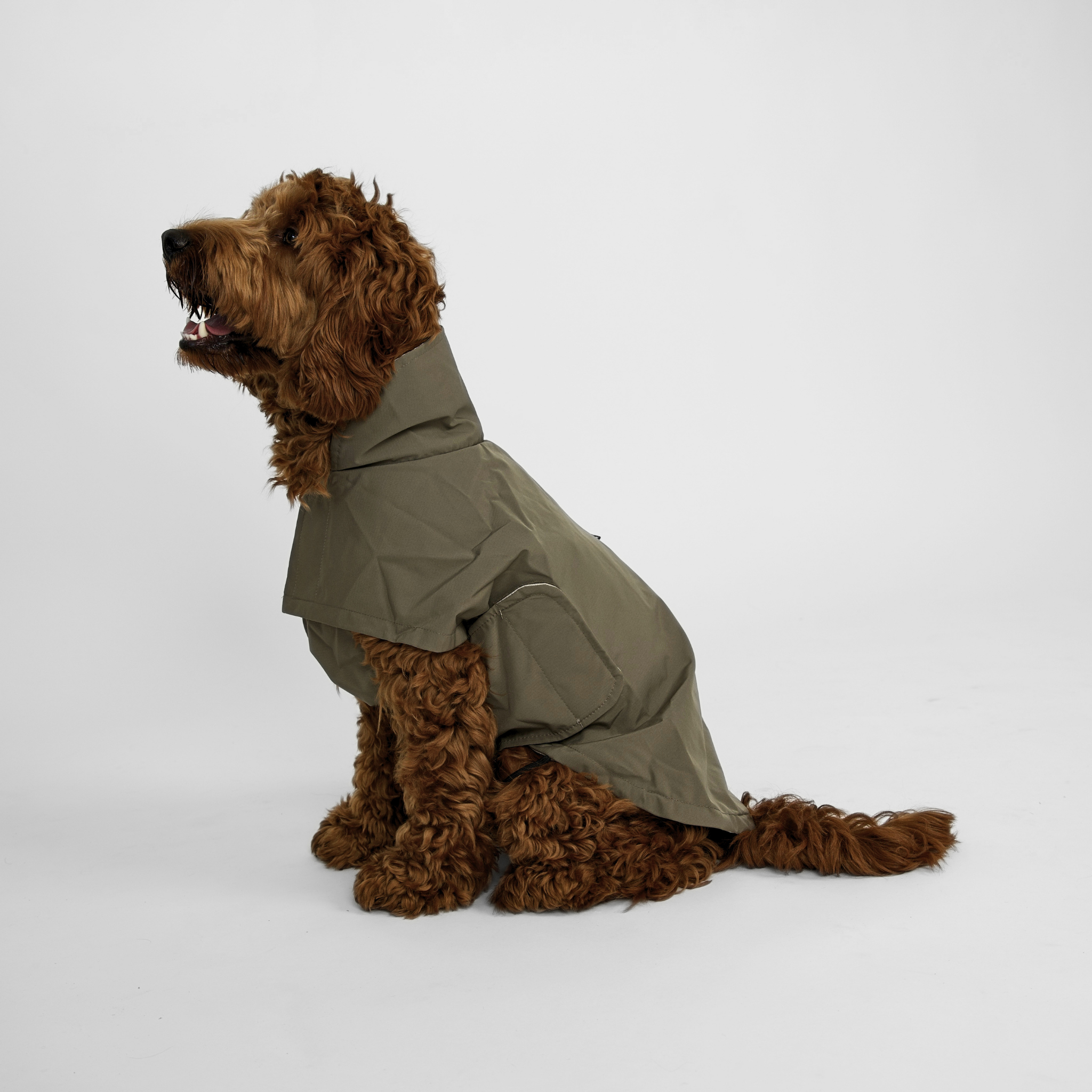 Taja hundkappa för hundar | Moss green