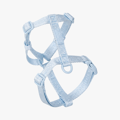 H-sele för valpar | Sky Blue