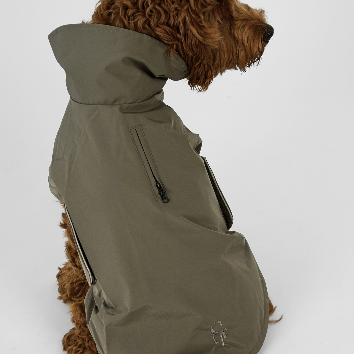 En cavapoo sedd bakifrån i den moss greena Taja-regnrocken