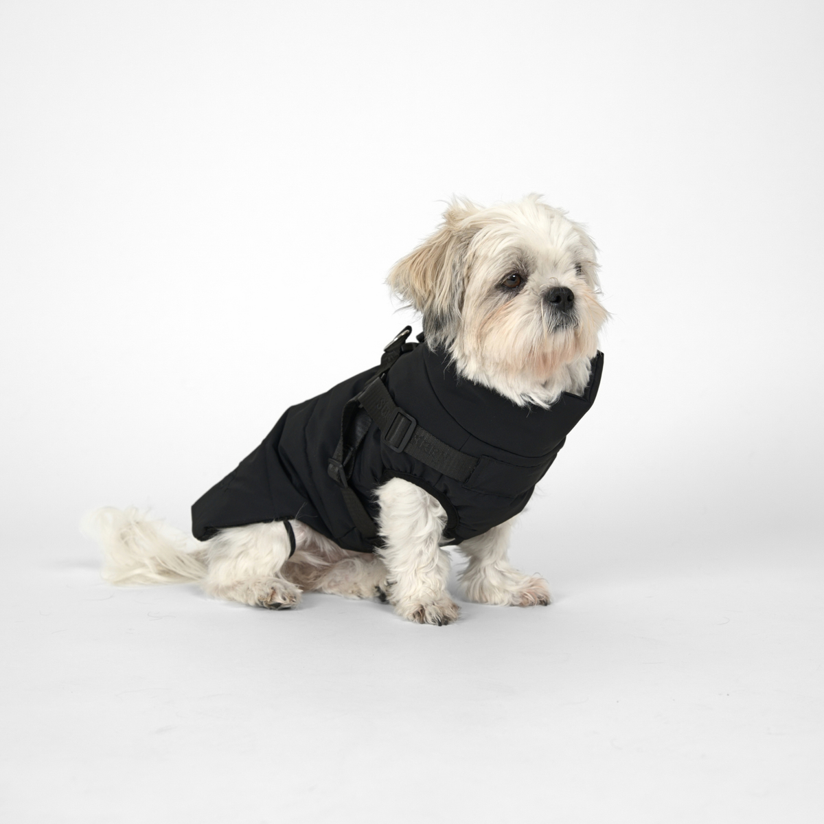 Vera Dog Coat w. Harness | Charcoal
