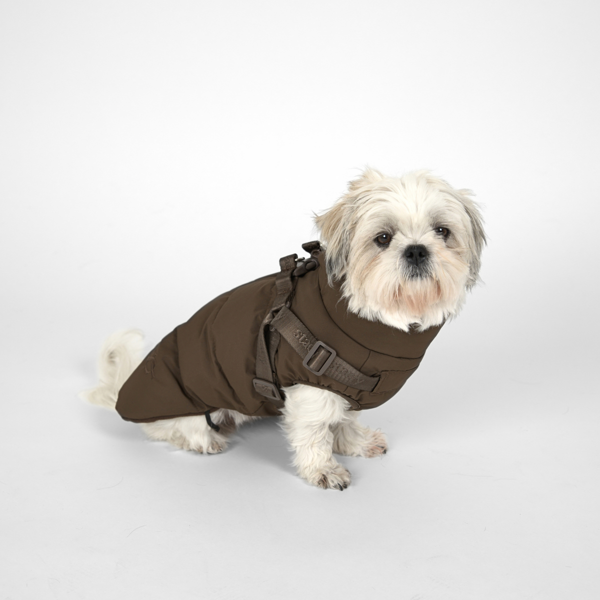 Vera hundkappa m. sele | Chestnut
