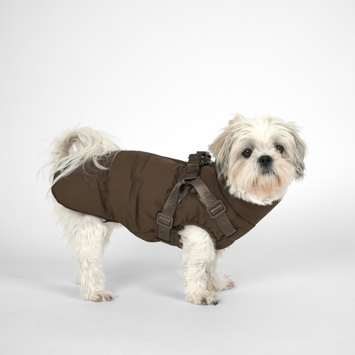 Vera hundkappa m. sele | Chestnut