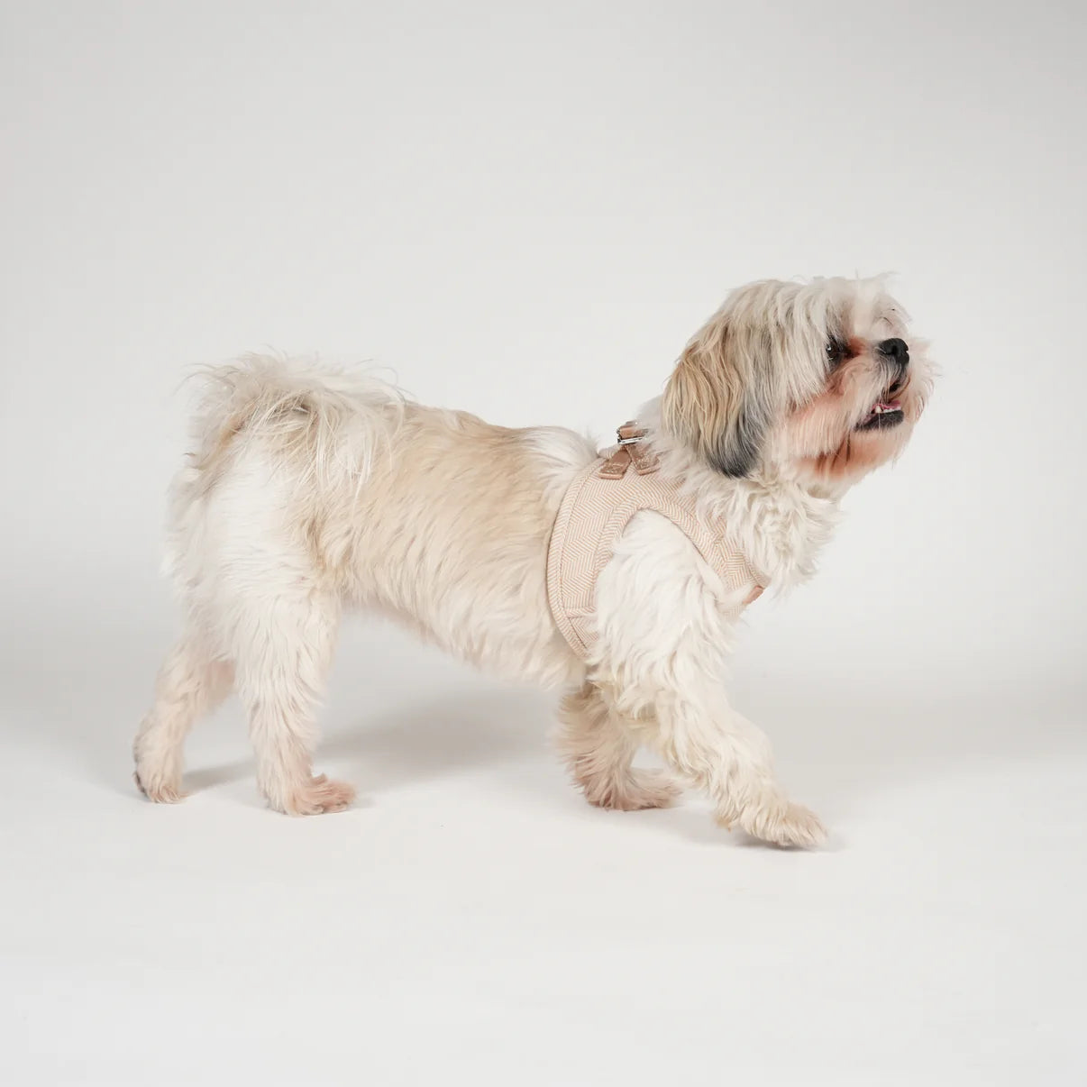 Saga Step-In hundsele | Ljus ros