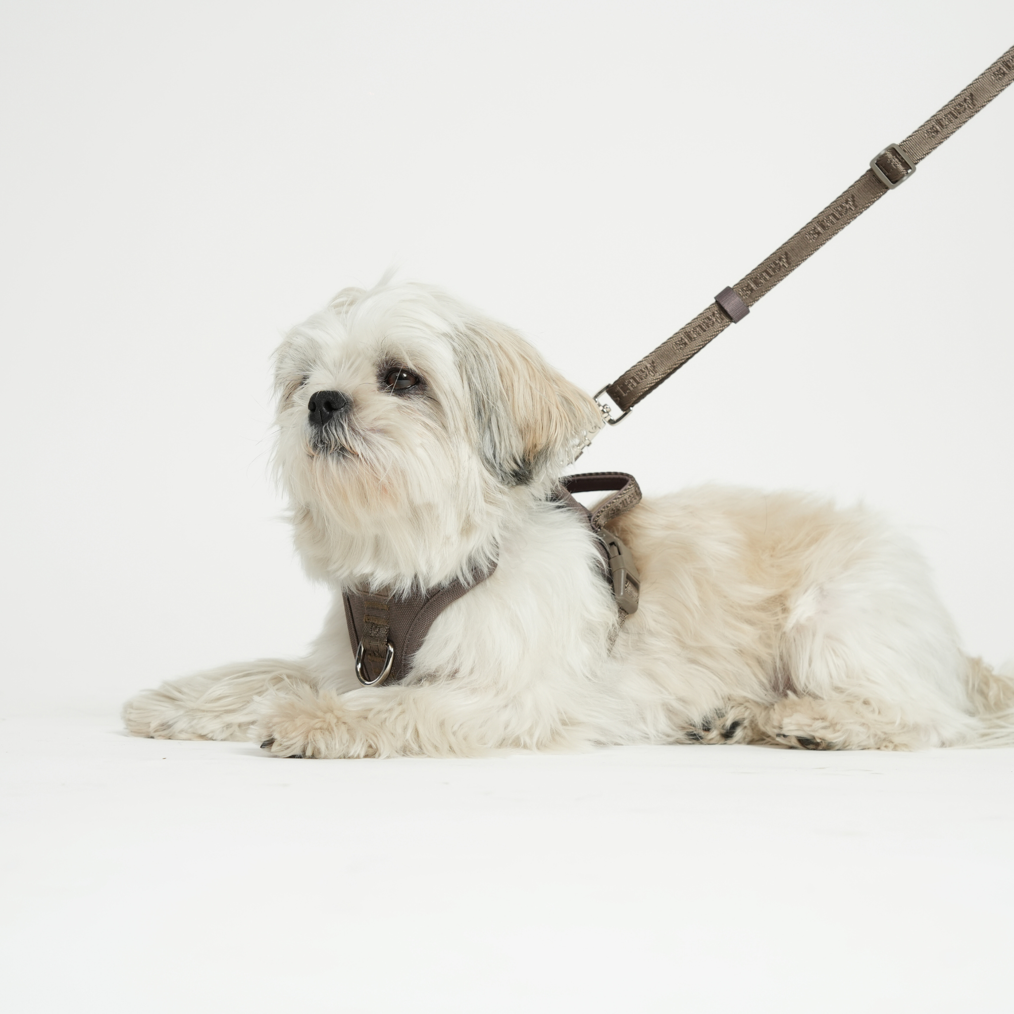 Hands-Free Dog Leash | Taupe