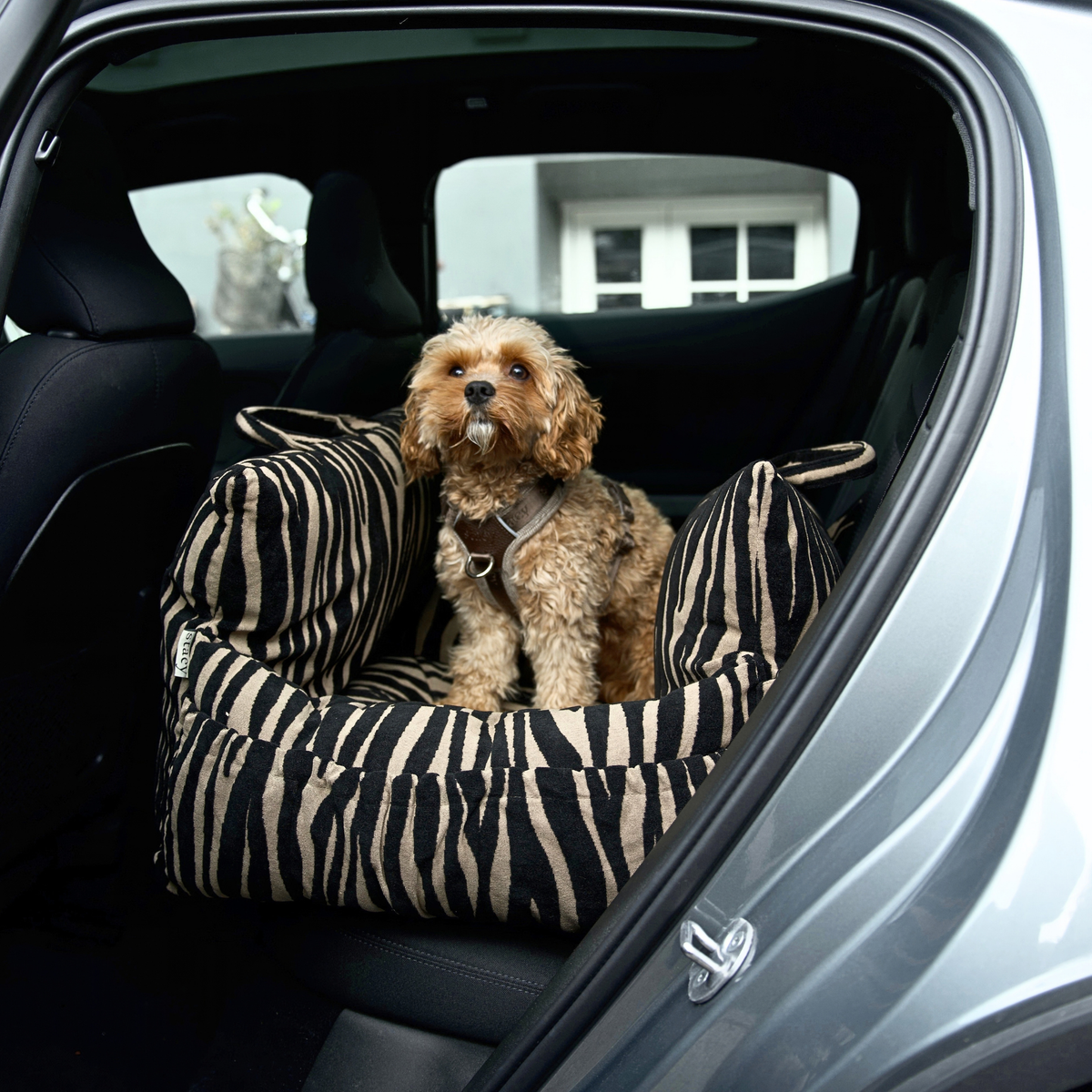 Lara Bilsäte för hund | Zebra 2.0